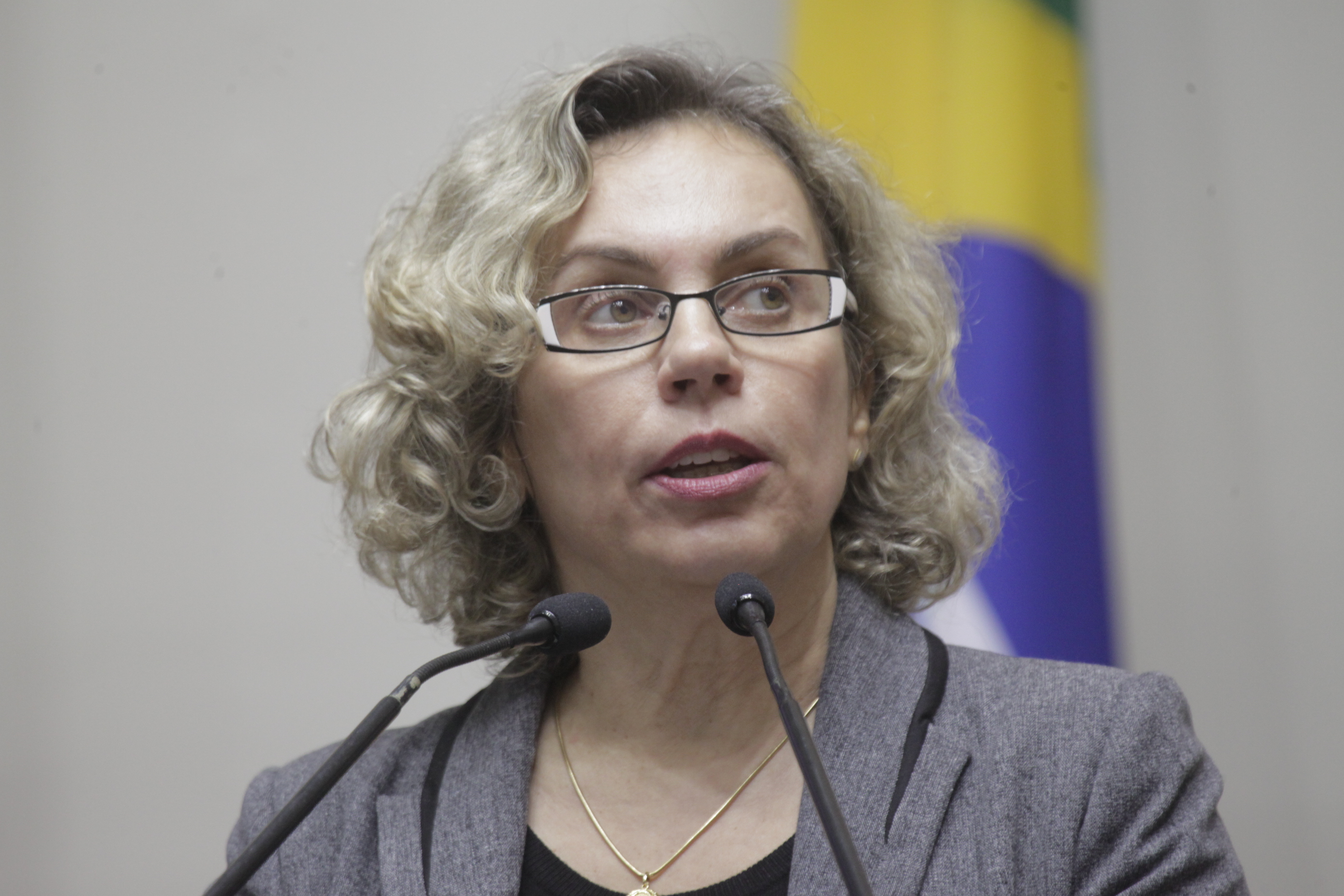 Sessão Ordinária. Deputada Ana Paula Lima (PT).