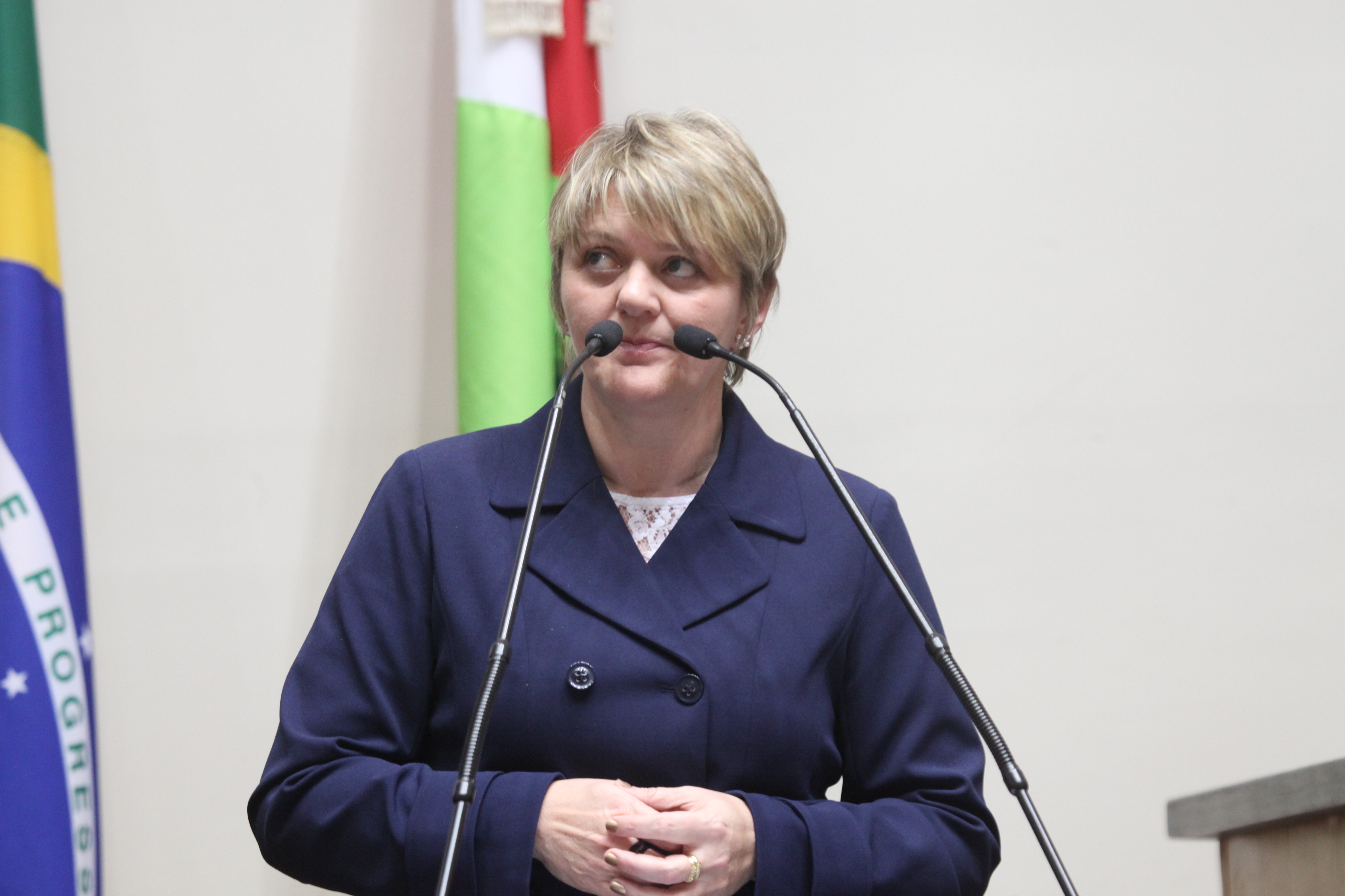 Sessão Ordinária. Deputada Luciane Carminatti (PT).