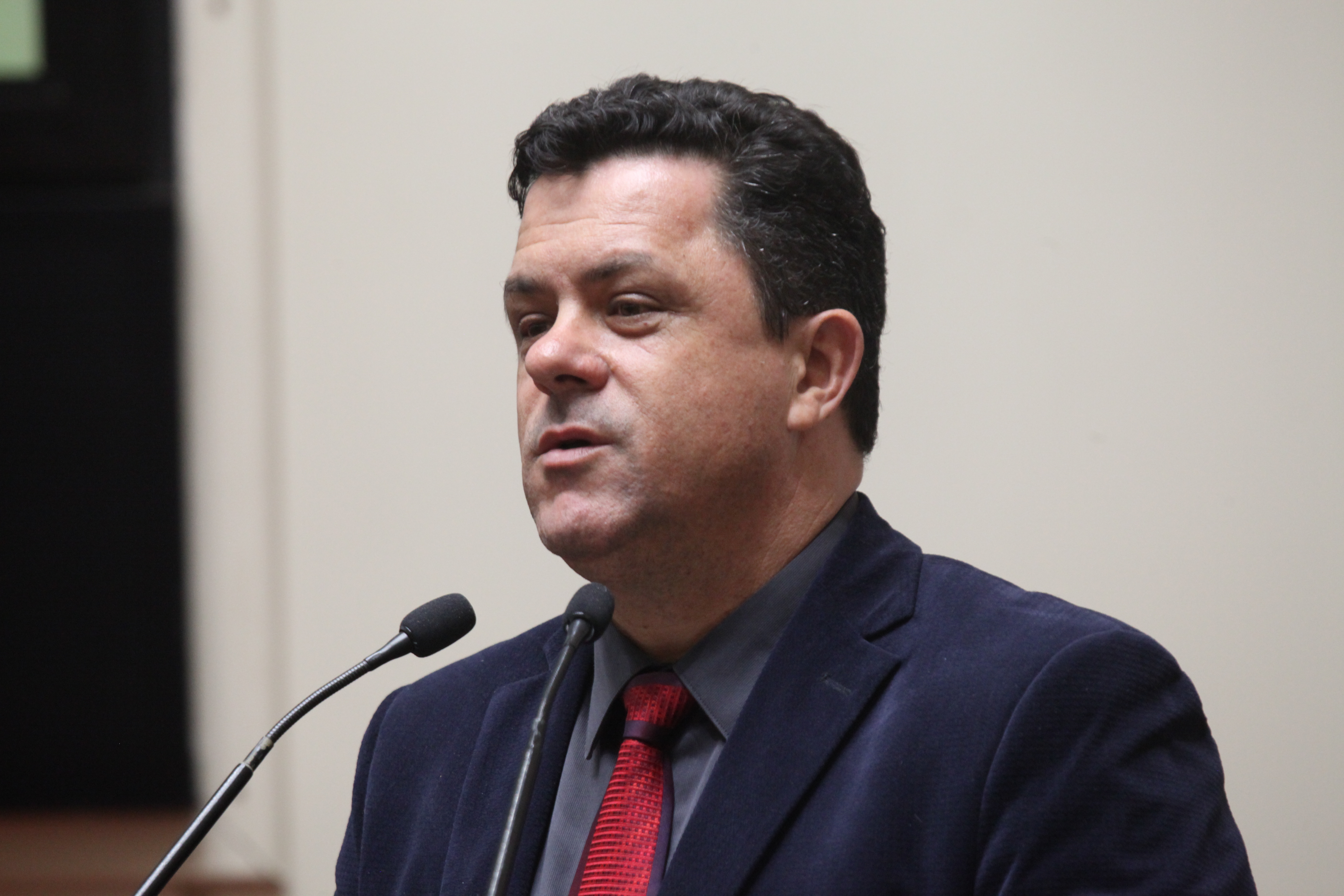 Sessão Ordinária. Deputado Ivan Naatz (PDT).
