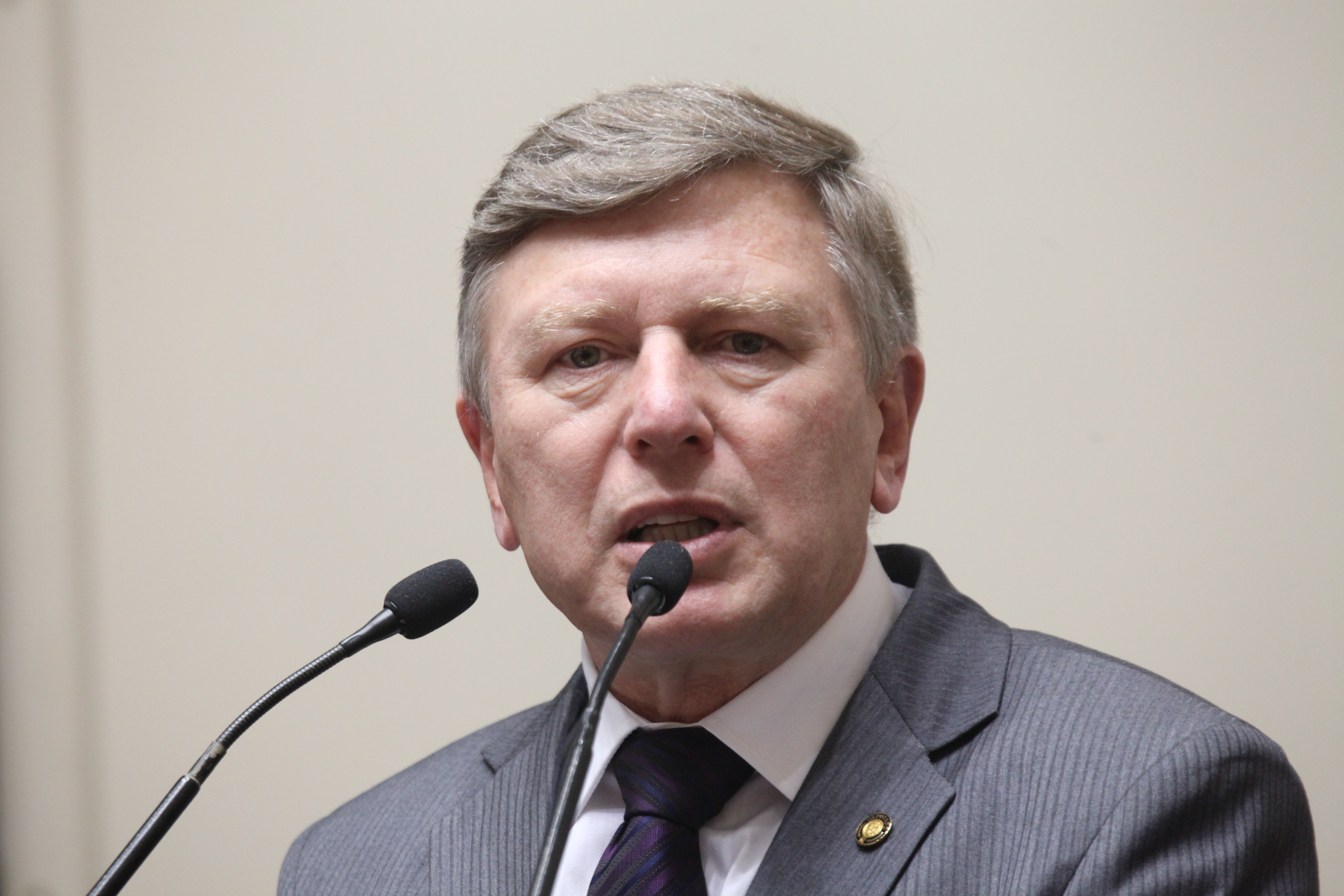 Sessão Ordinária. Deputado Milton Hobus (PSD).