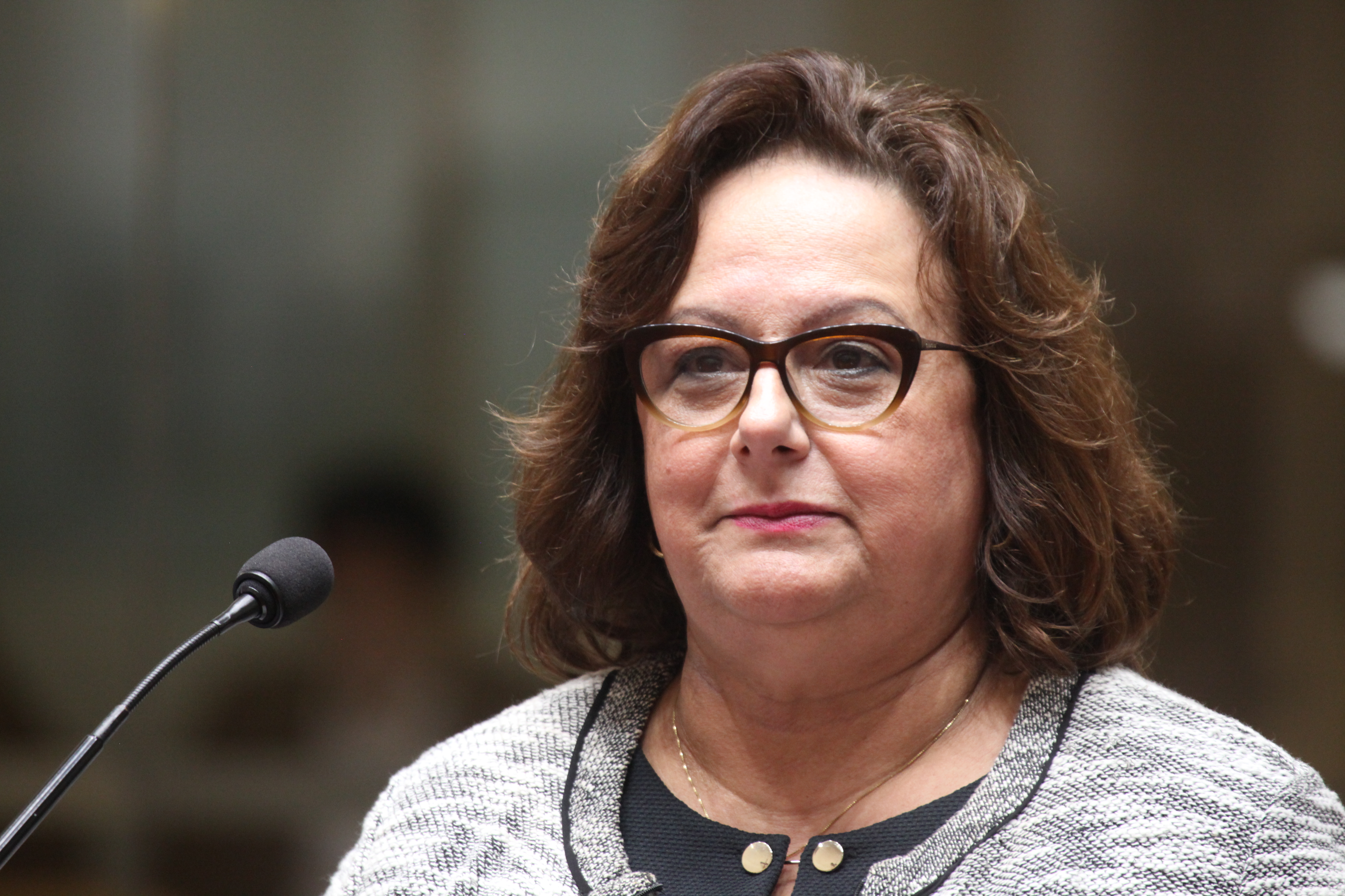 Sessão Ordinária. Deputada Dirce Heiderscheidt (PMDB).