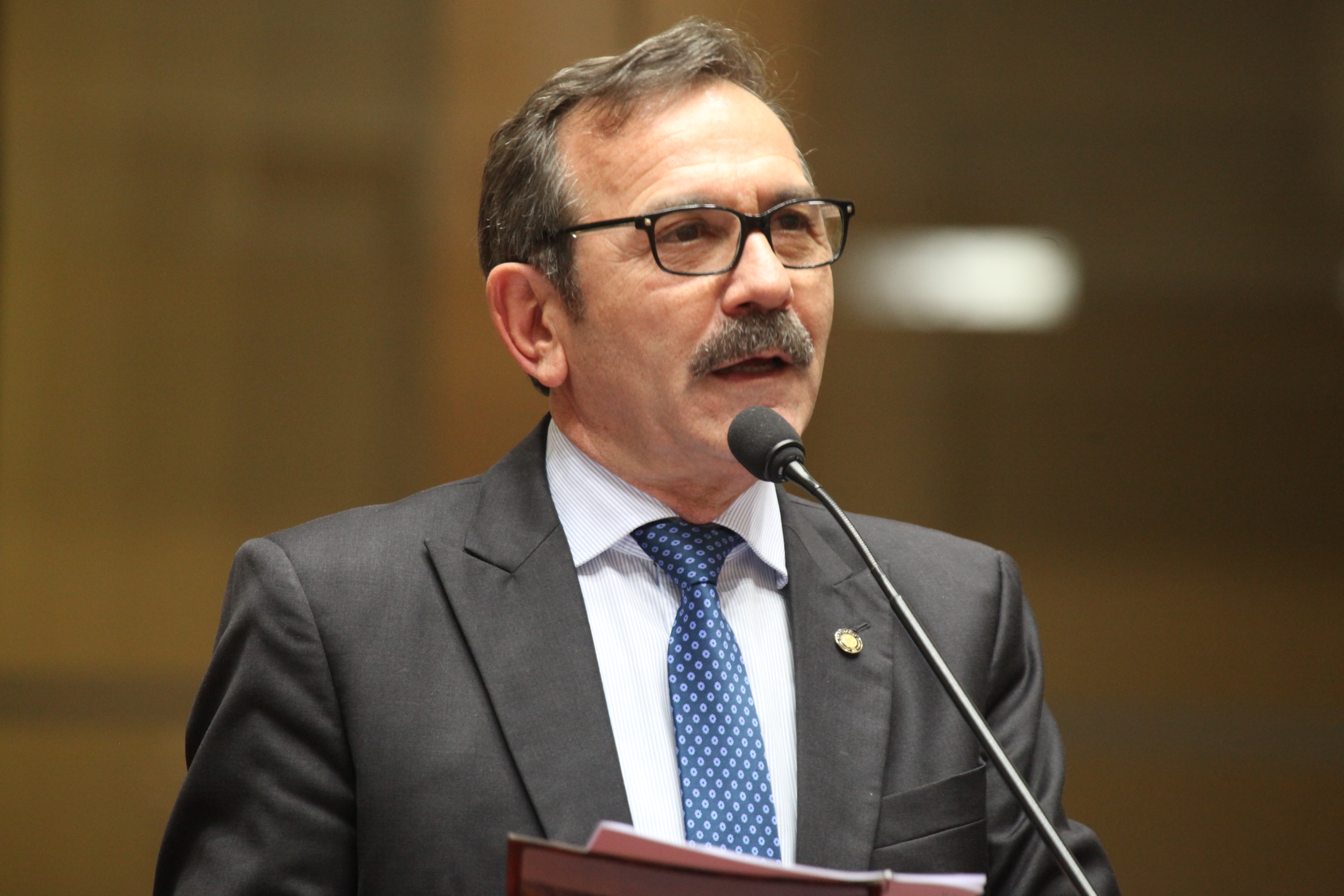 Sessão Ordinária. Deputado Serafim Venzon (PSDB).
