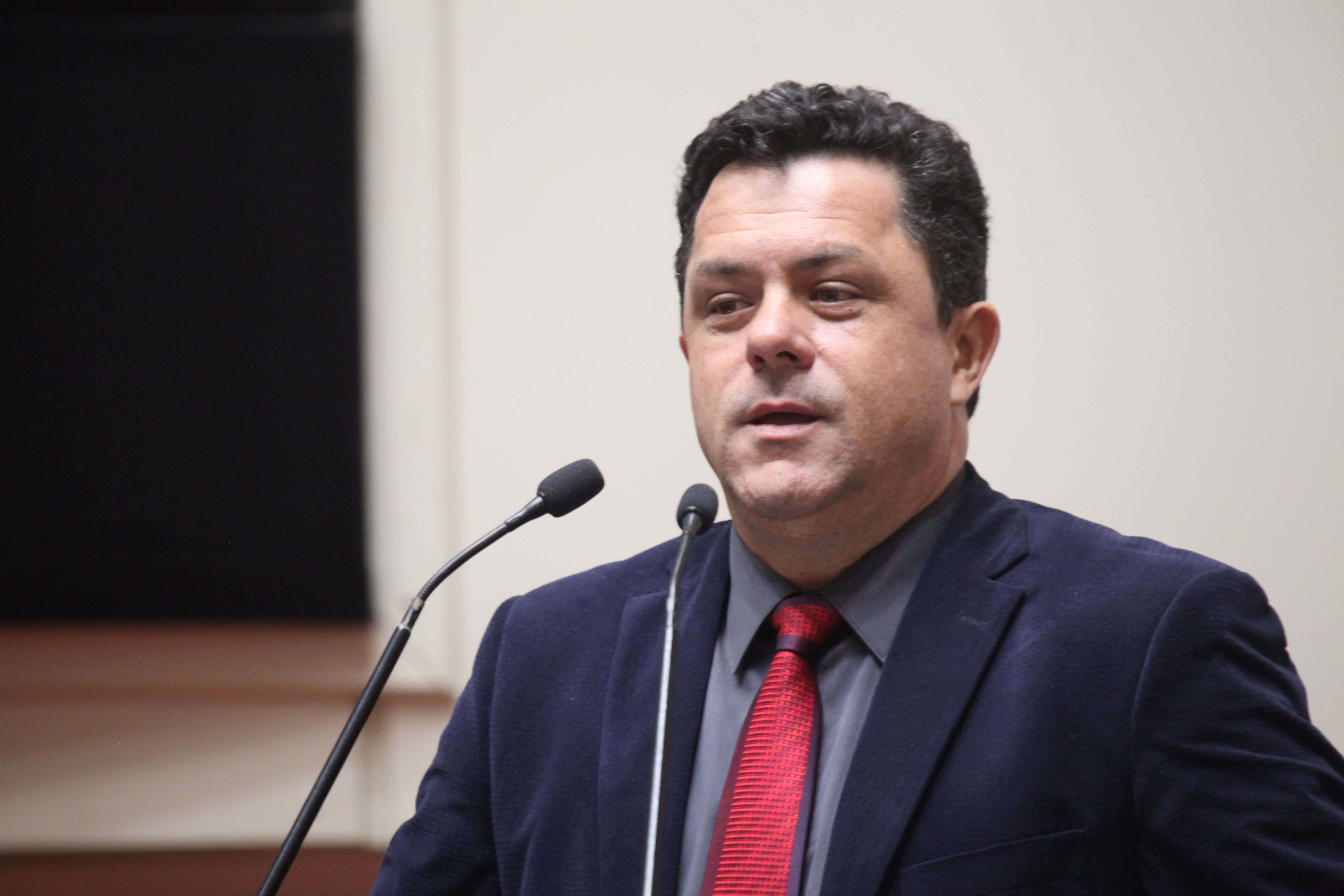 Sessão Ordinária. Deputado Ivan Naatz (PDT).