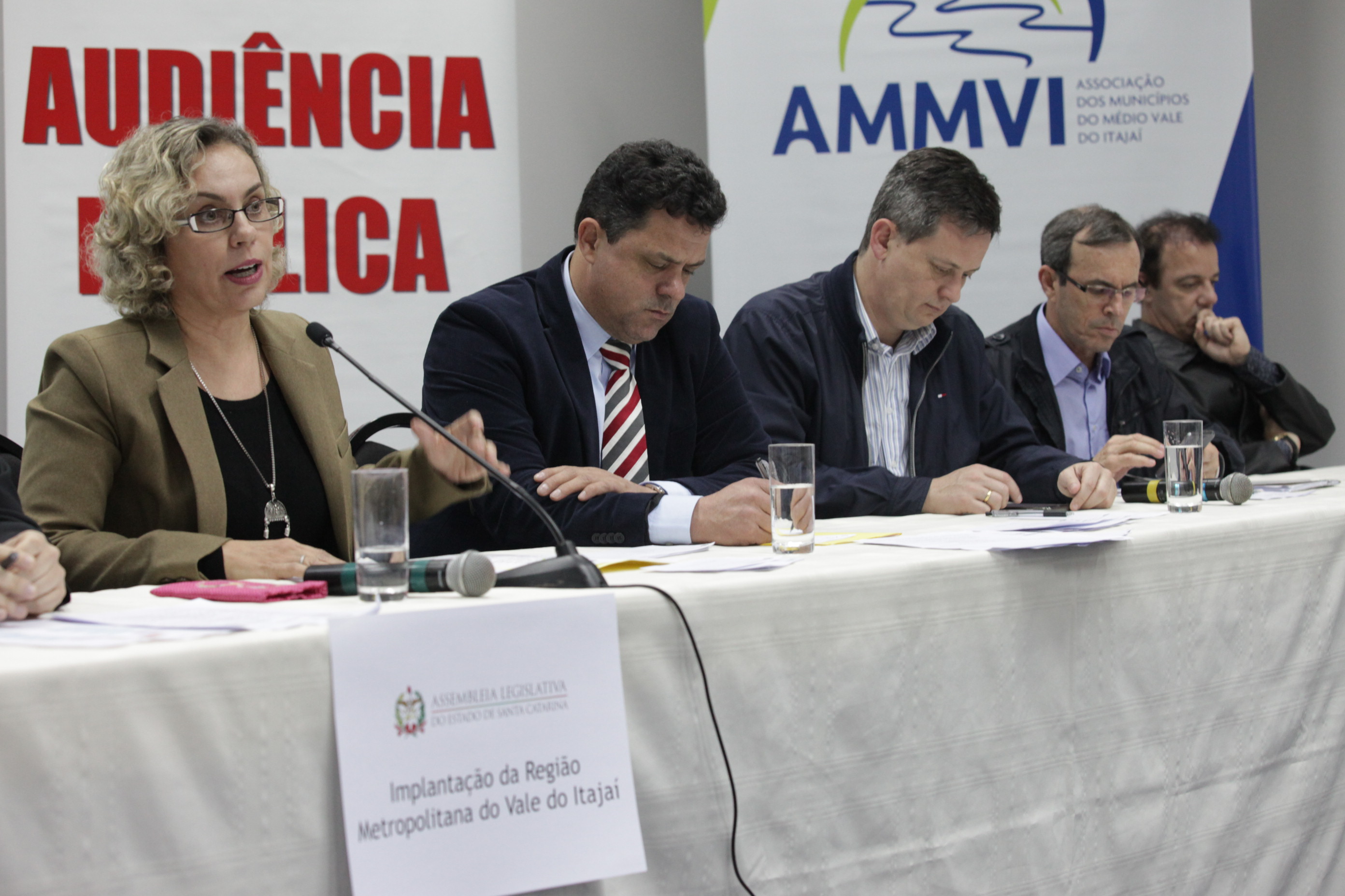 Audiência Pública - Implantação da Região Metropolitana do Vale do Itajaí