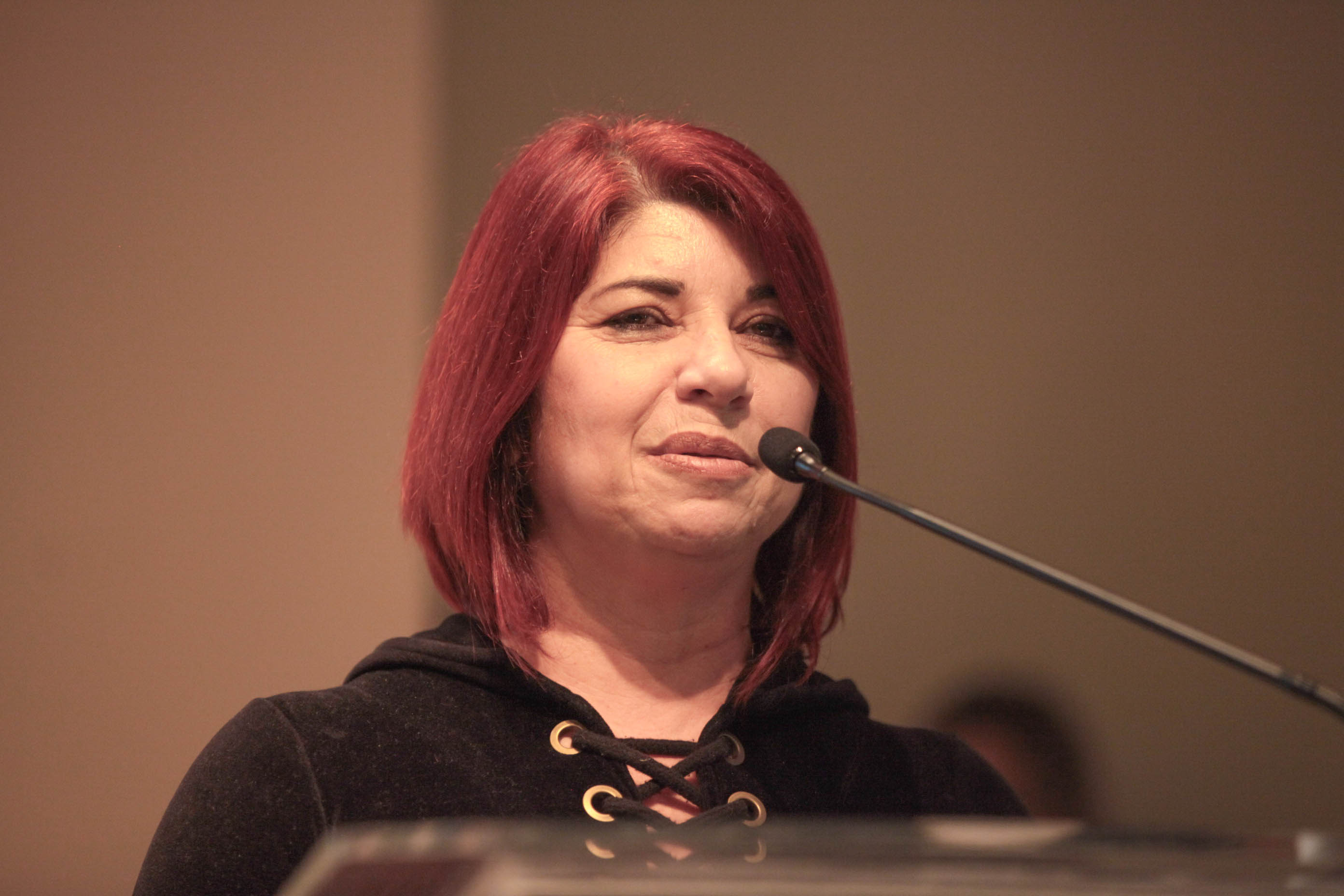 Lançamento do Seminário 