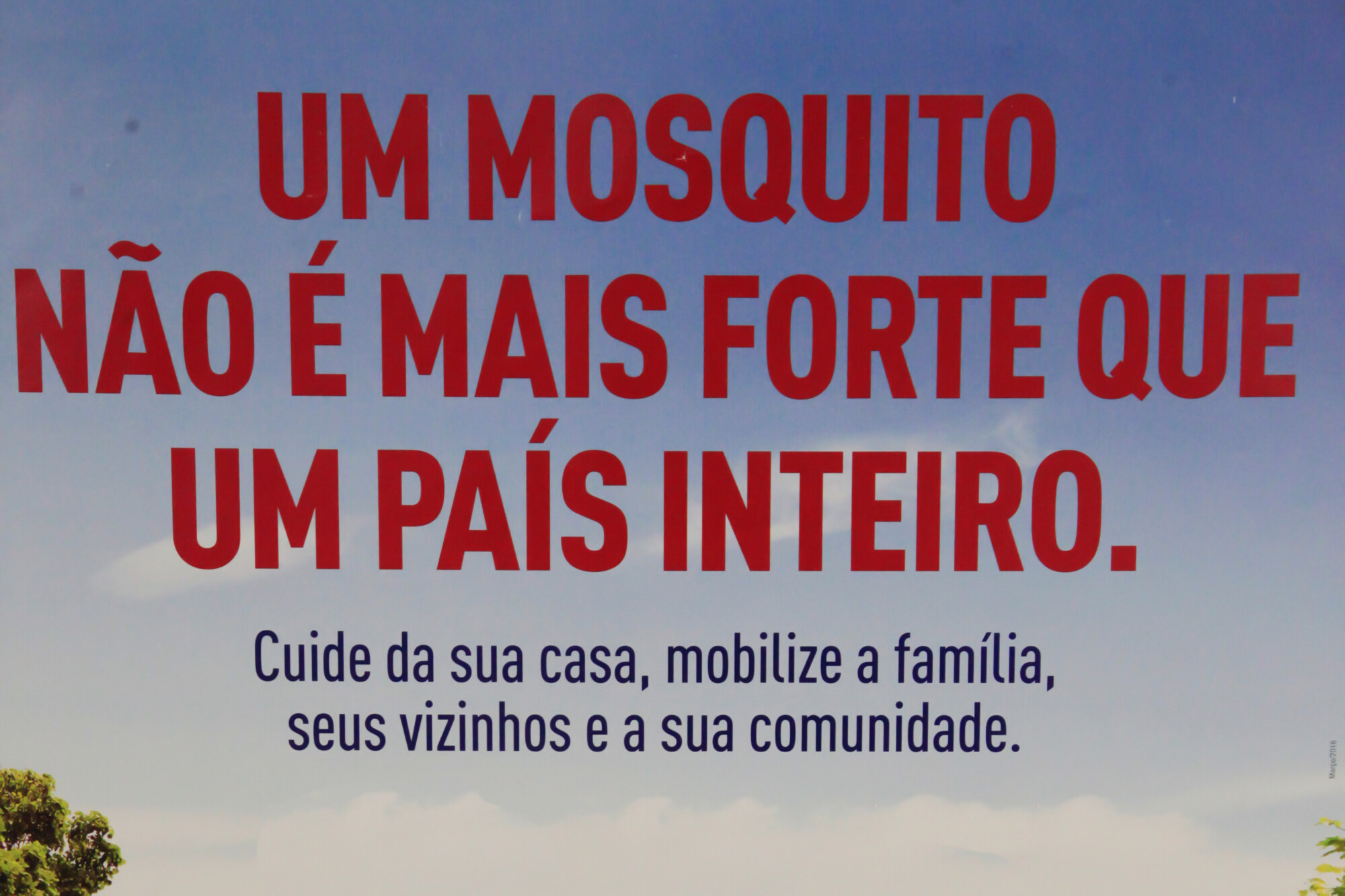 Ovos invisíveis a olho nu, resistentes ao frio, indicam volta do Aedes