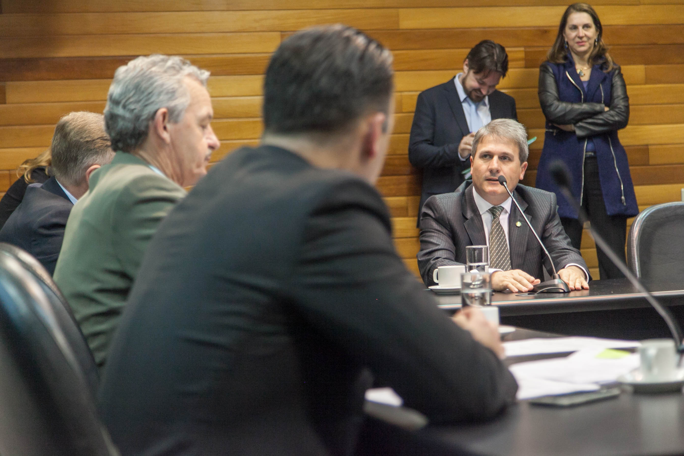 Comissão de Economia, Ciência, Tecnologia, Minas e Energia
