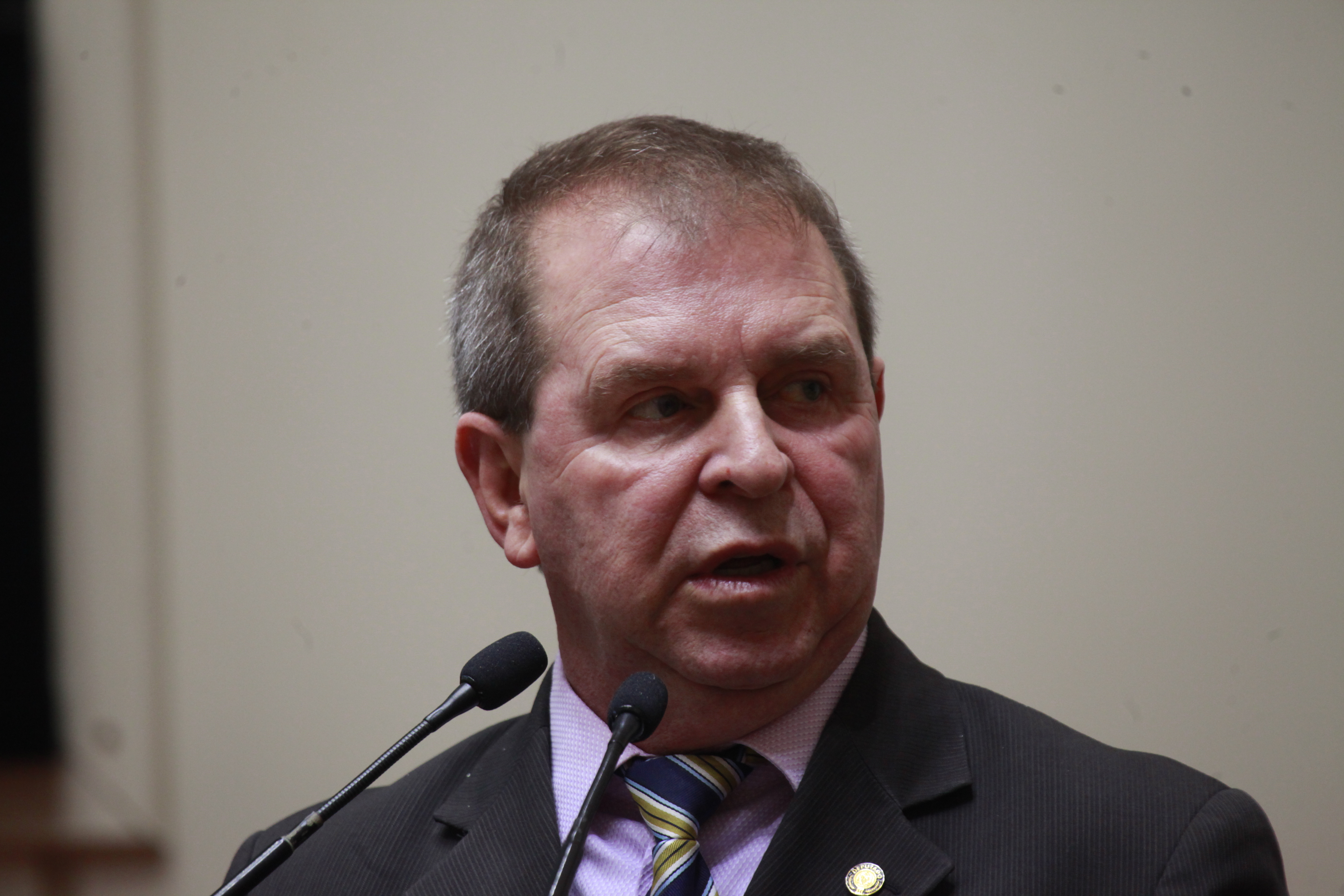Sessão Ordinária. Deputado Maurício Eskudlark (PR).