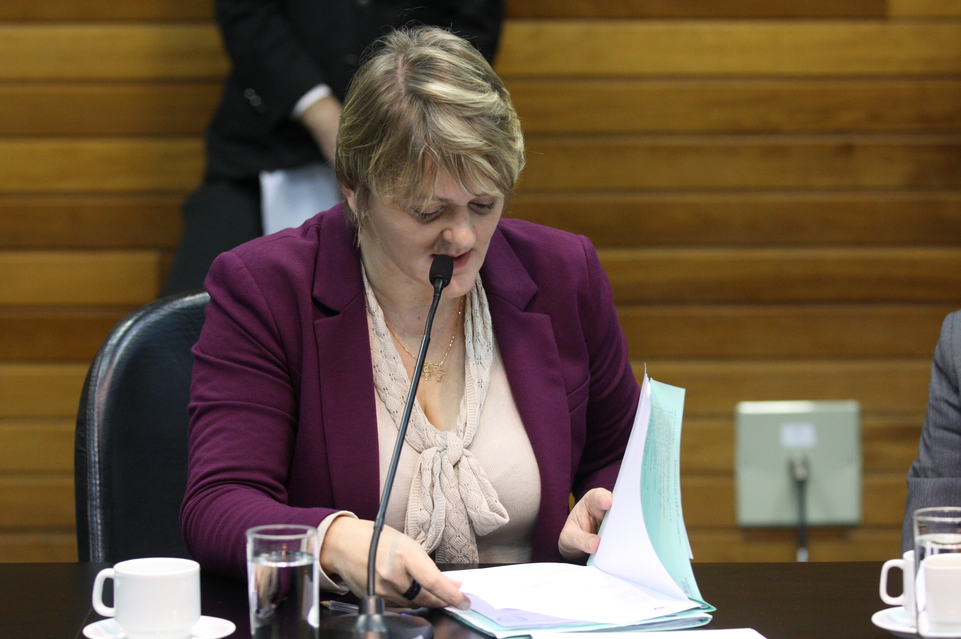 Comissão de Constituição e Justiça. Deputada Luciane Carminatti (PT). Foto Yuri Santos / Agência AL