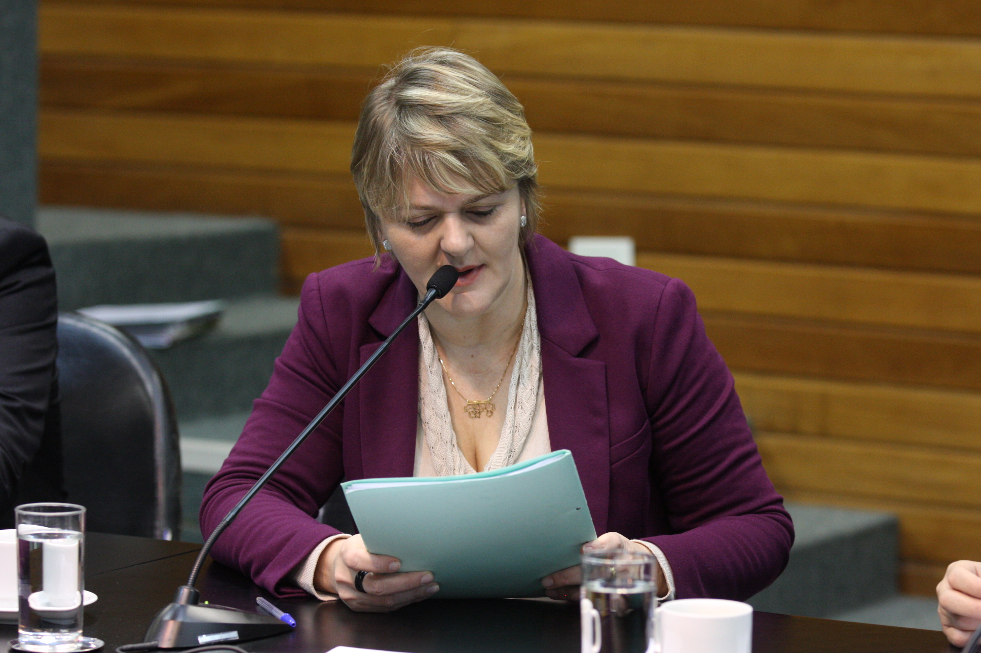 Comissão de Constituição e Justiça. Deputada Luciane Carminatti (PT). Foto Yuri Santos / Agência AL