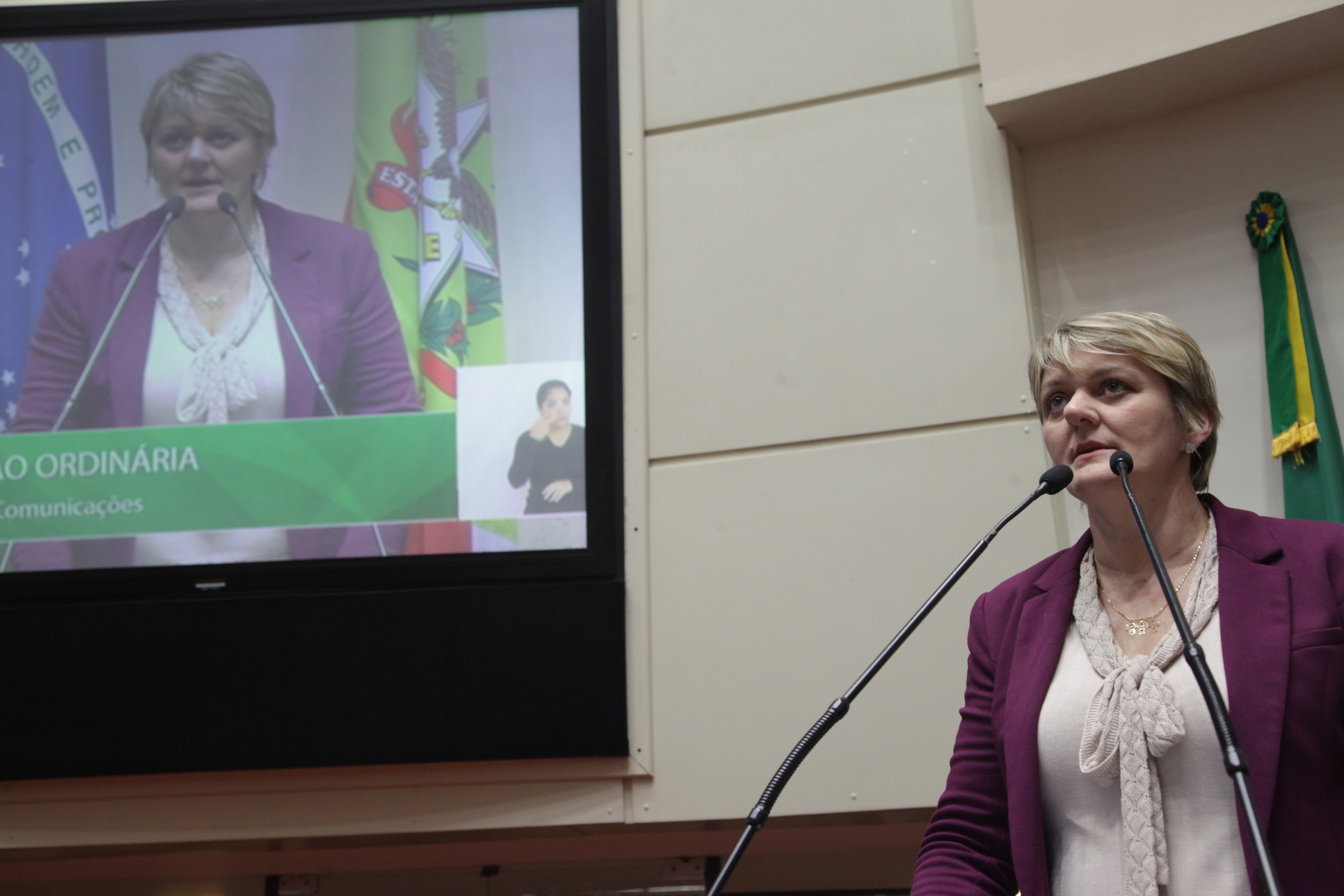 Sessão Ordinária. Deputada Luciane Carminatti (PT)