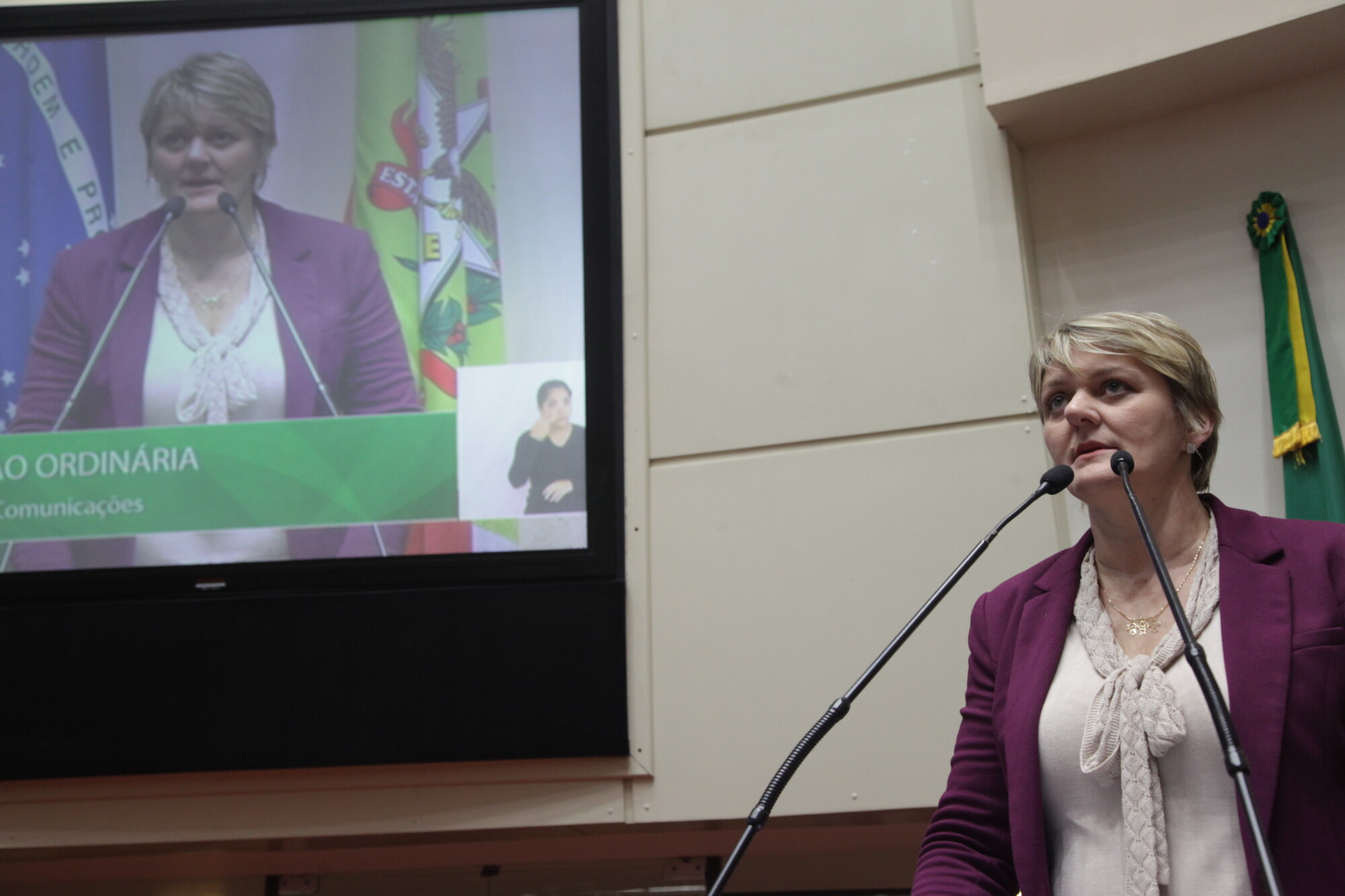 Deputada Luciane Carminatti