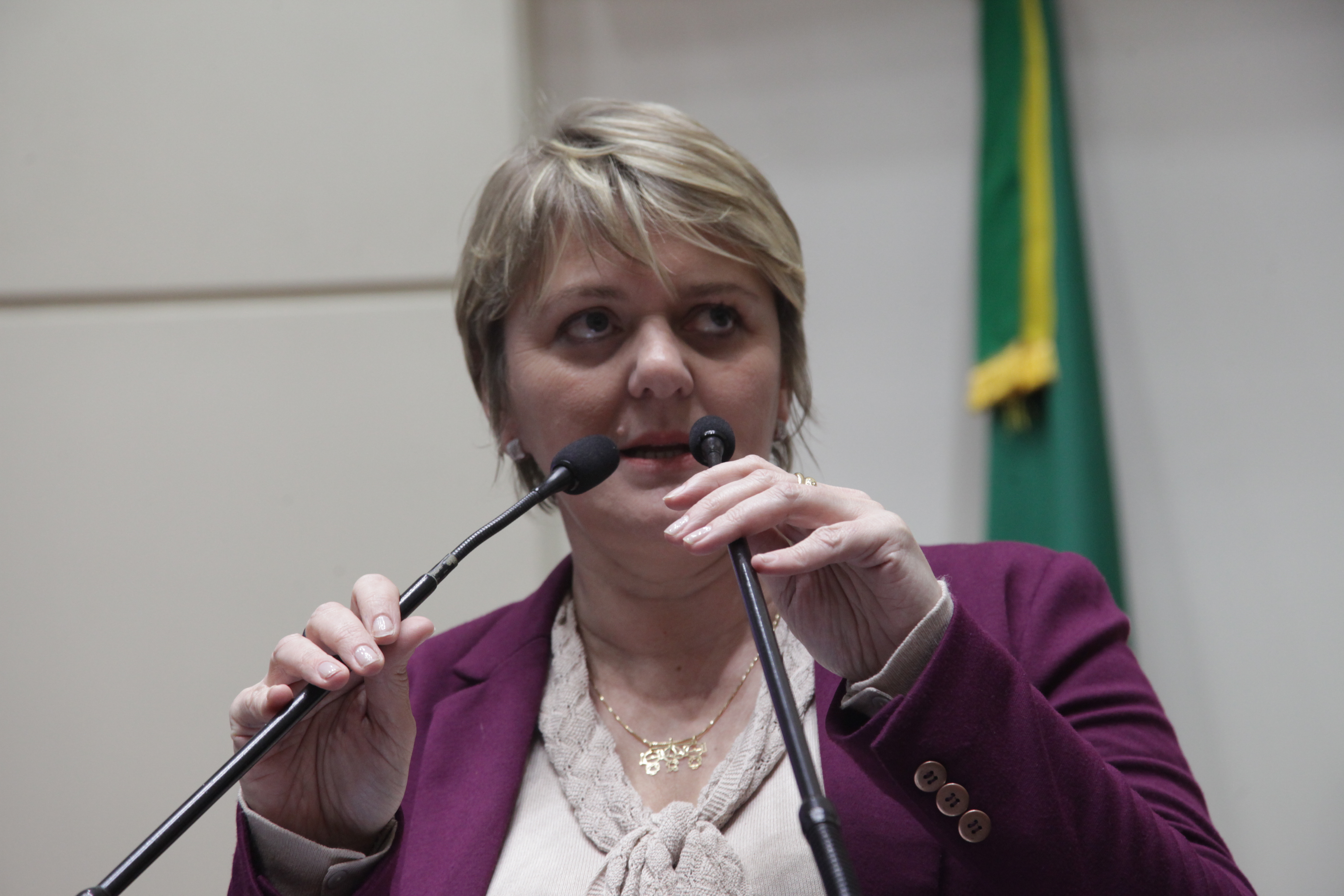 Sessão Ordinária. Deputada Luciane Carminatti (PT)