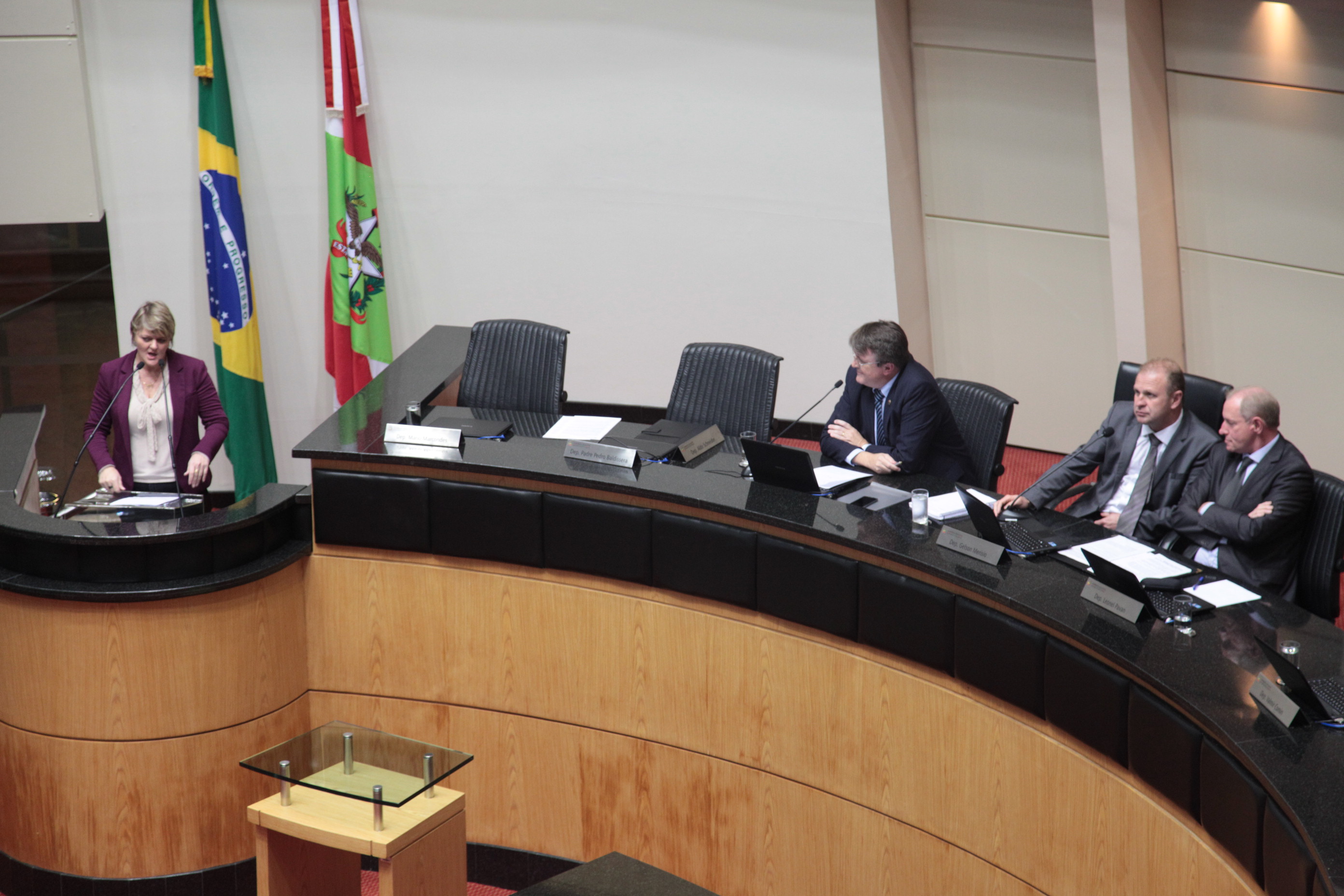 Sessão Ordinária - Deputada Luciane Carminatti (PT). Foto: Miriam Zomer/ Agência AL.