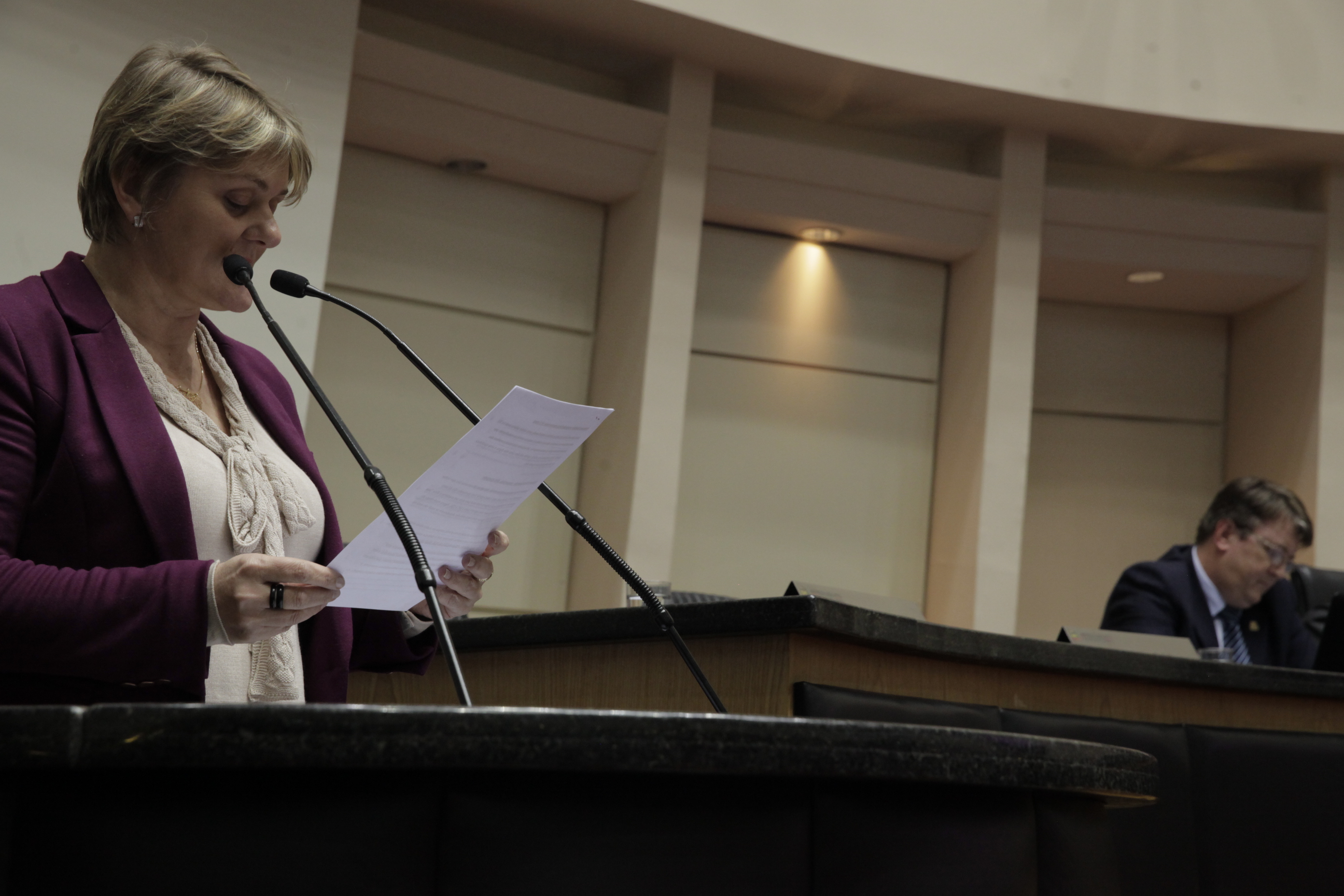 Sessão Ordinária. Deputada Luciane Carminatti (PT).