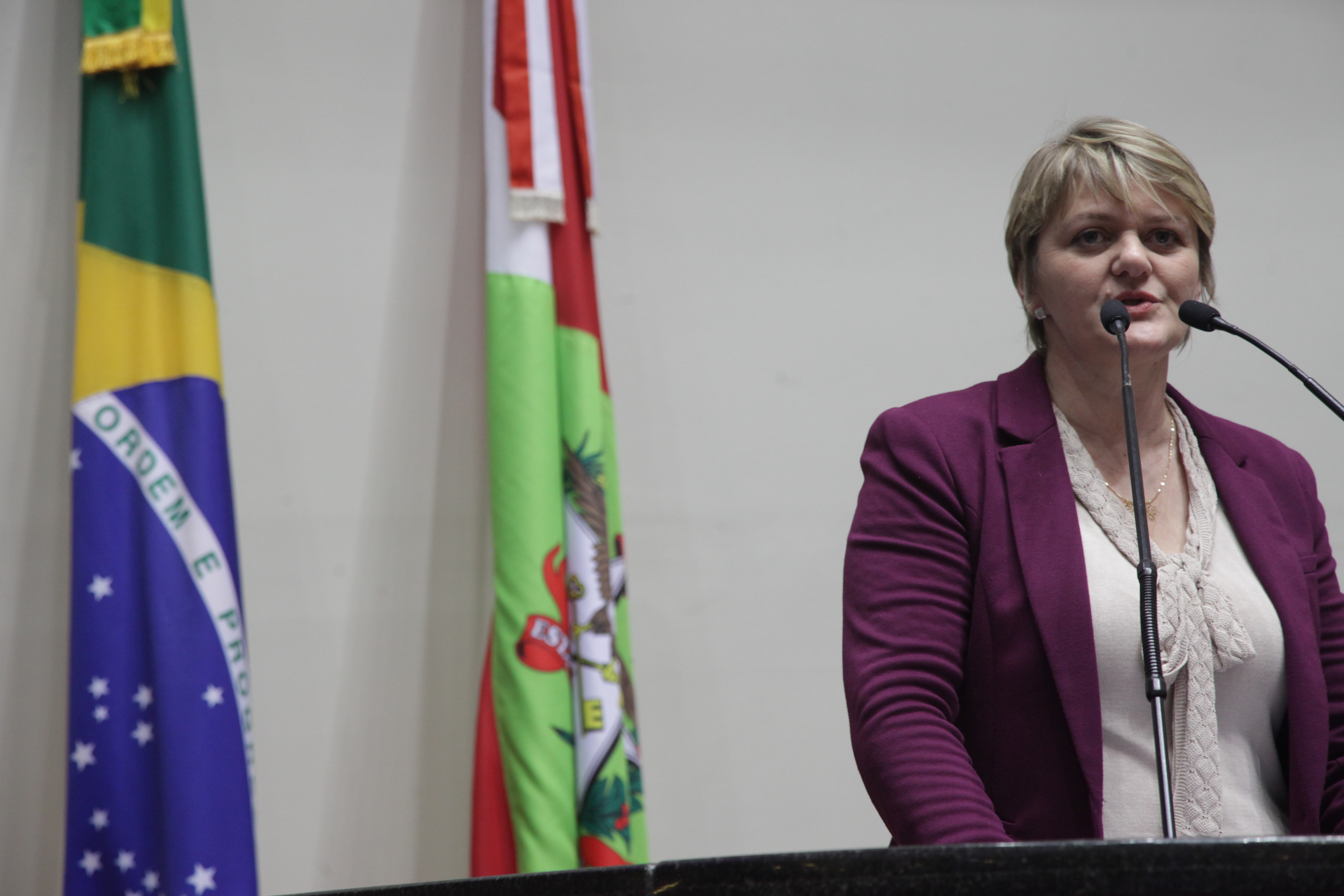 Sessão Ordinária. Deputada Luciane Carminatti (PT).
