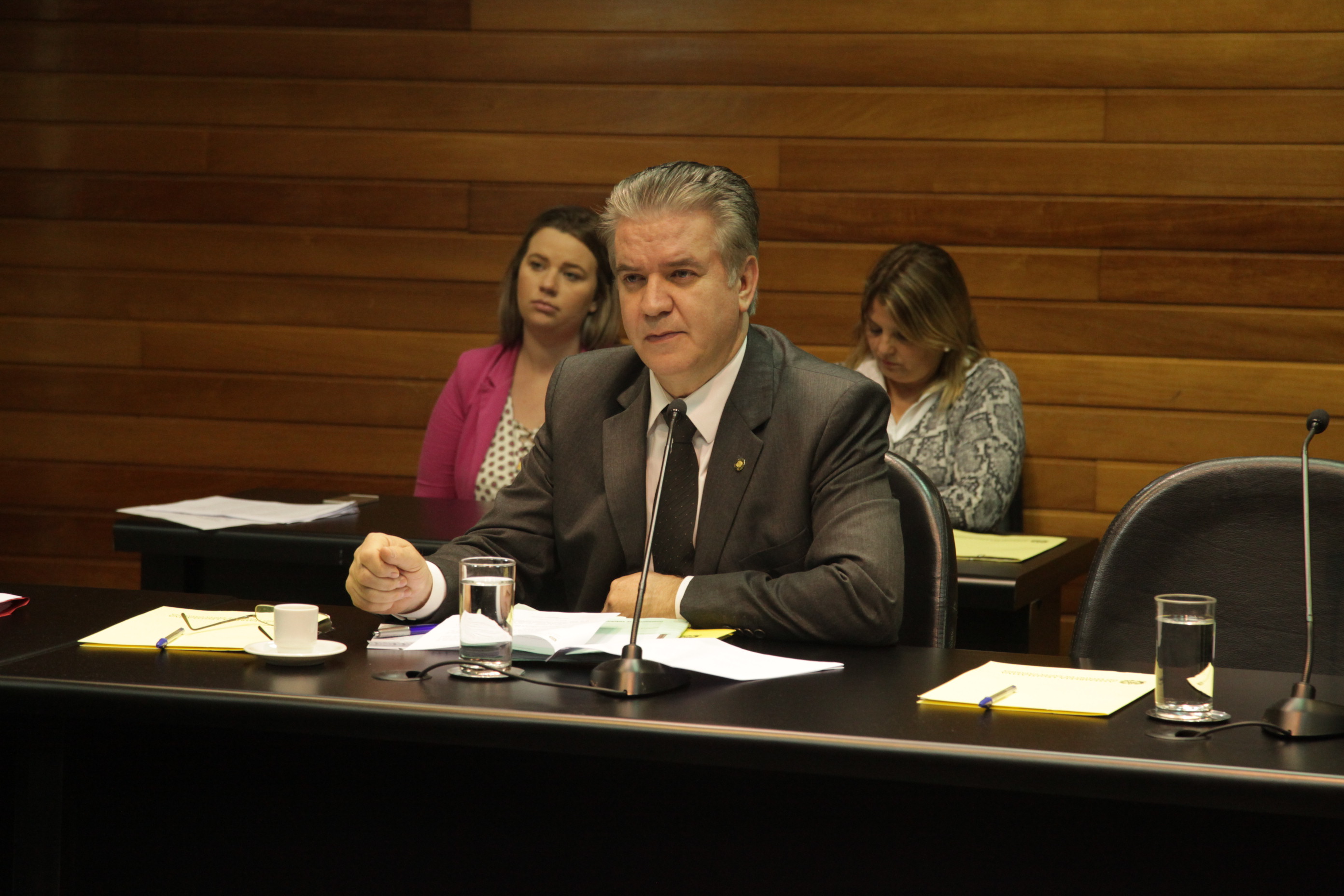 Comissão de Agricultura e Política Rural. Deputado César Valduga (PCdoB).