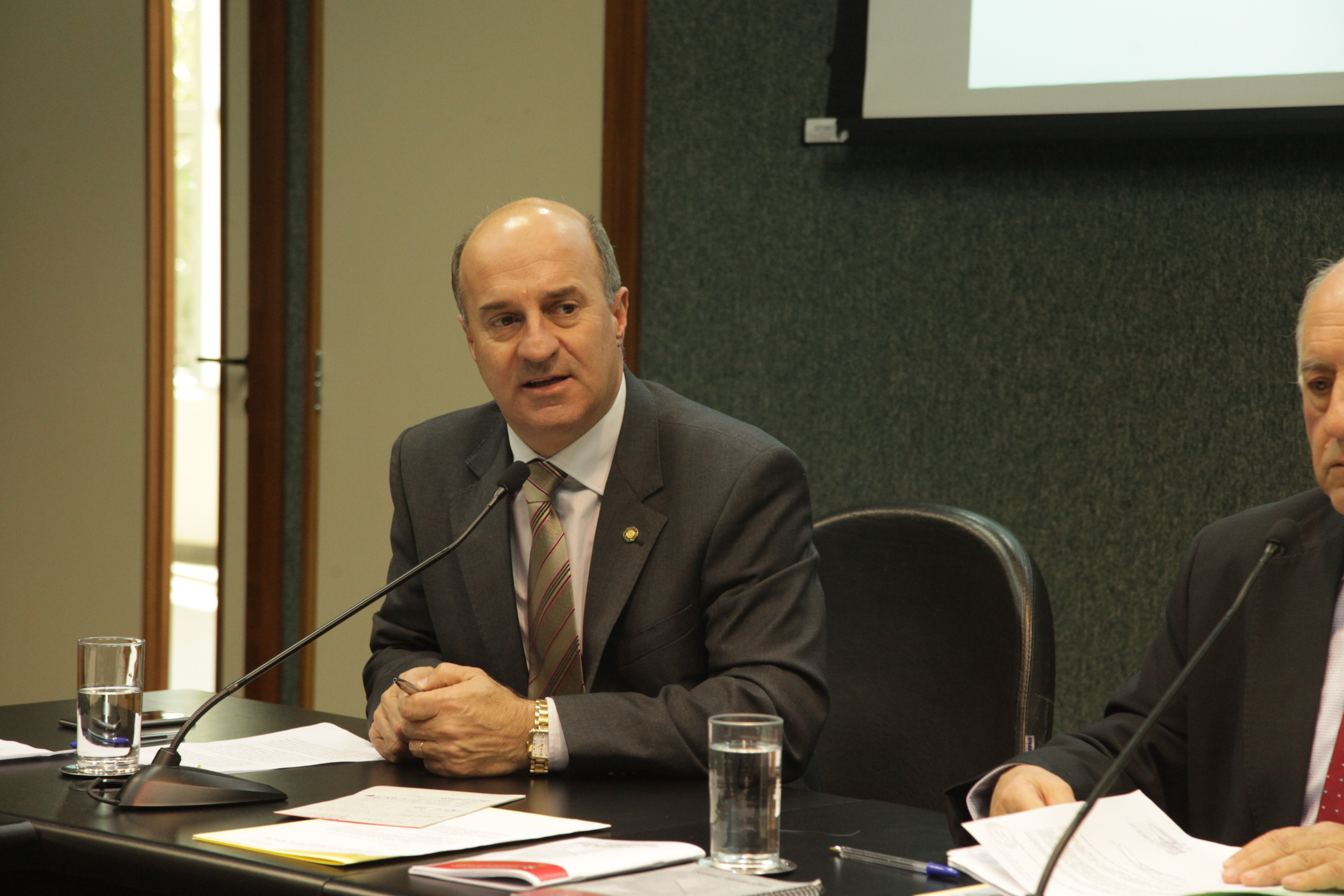 Comissão de Agricultura e Política Rural. Deputado José Milton Scheffer (PP).