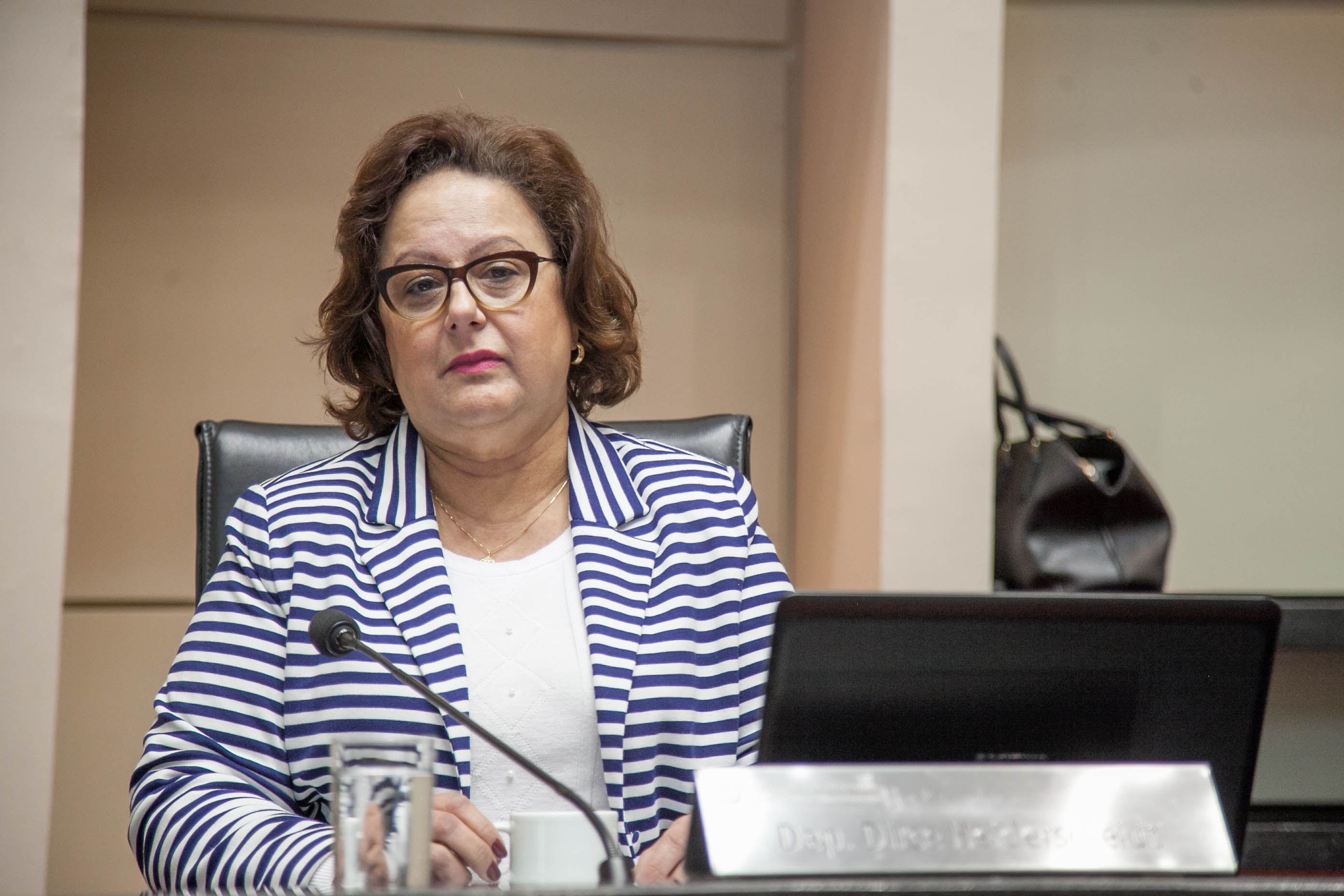 Deputada Dirce Heiderscheidt (PMDB) em Sessão Ordinária