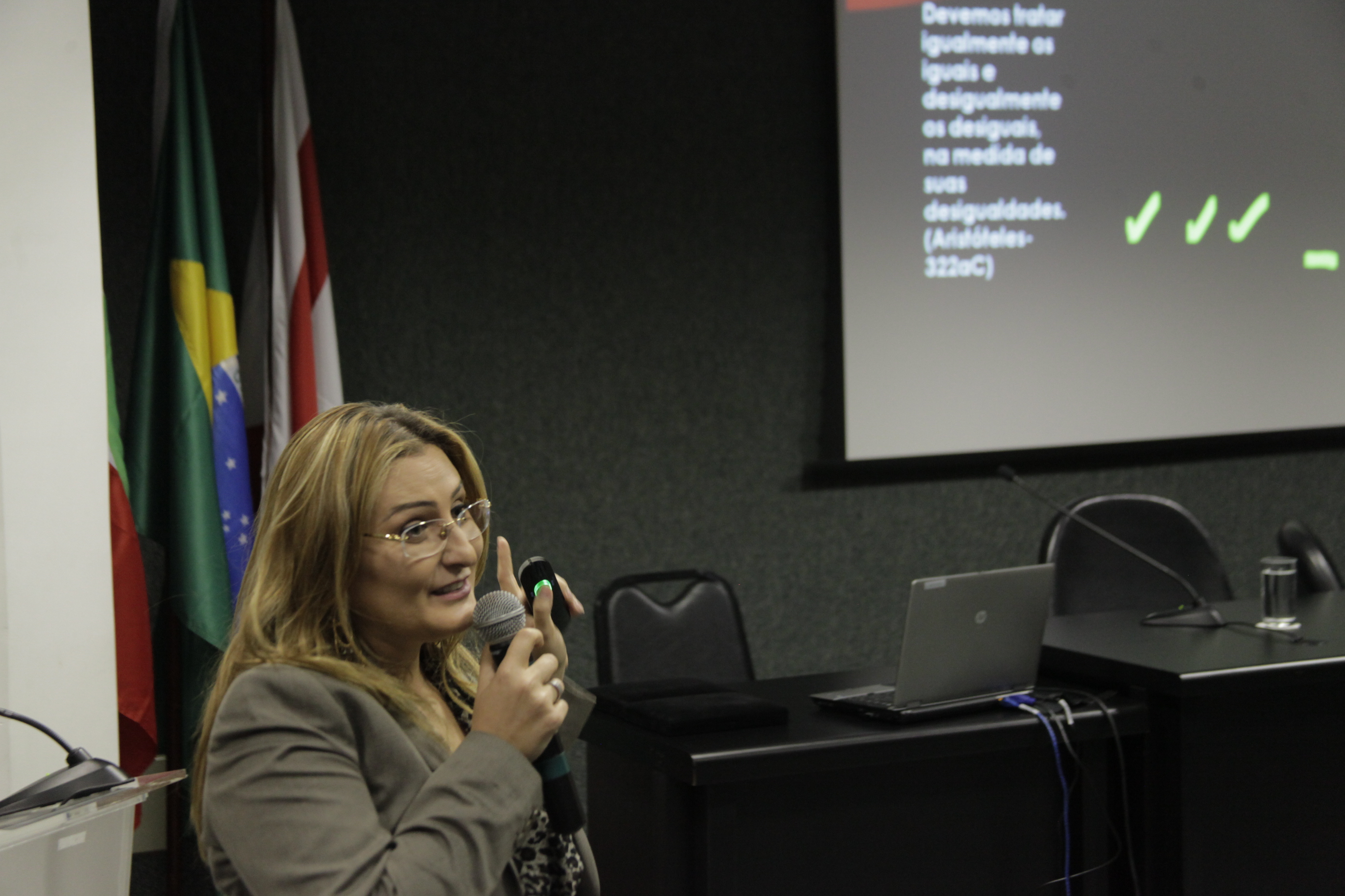 3º Encontro das Rosas. Kátia Gonçalves Ellery.