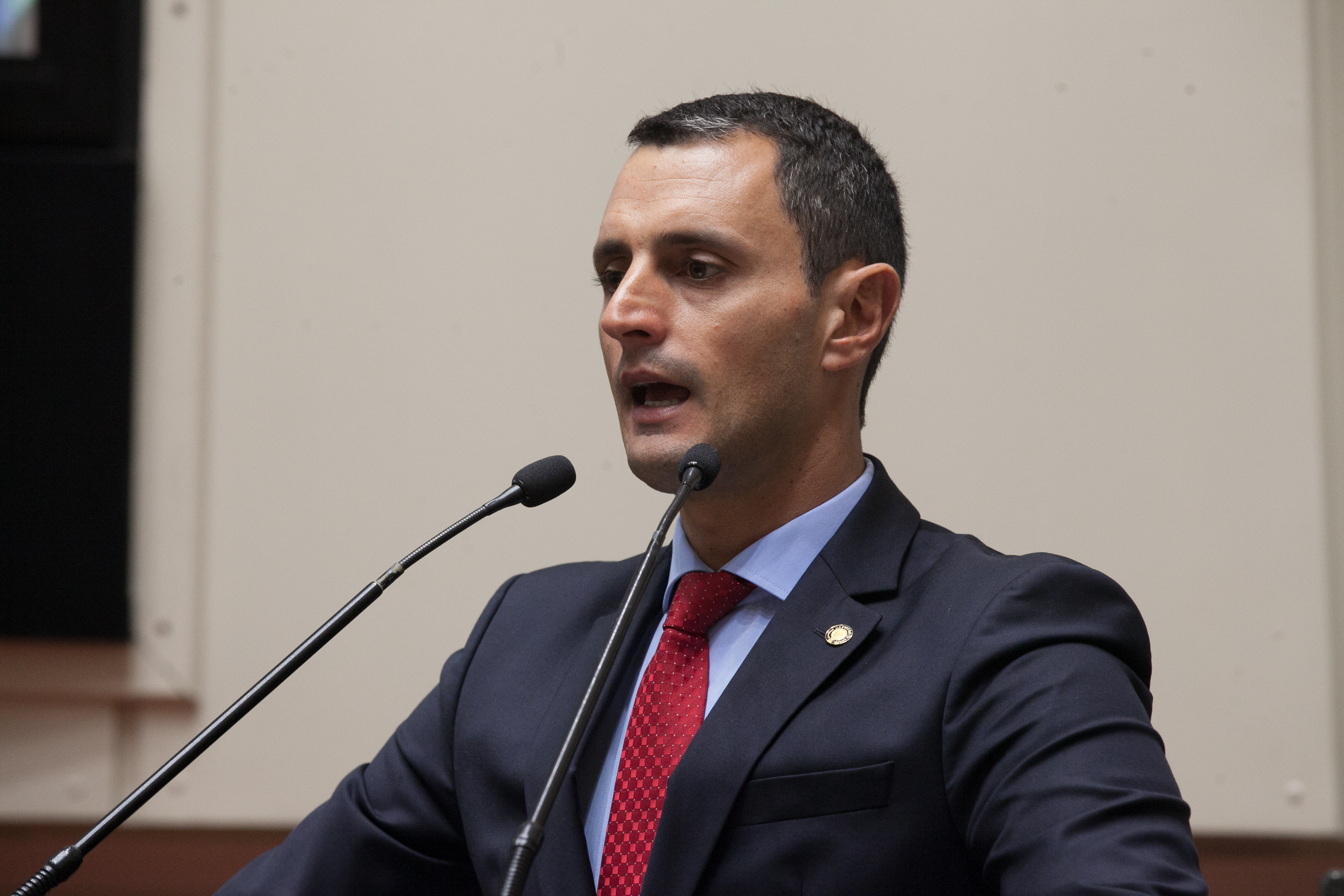 Sessão Ordinária. Deputado João Amin (PP)