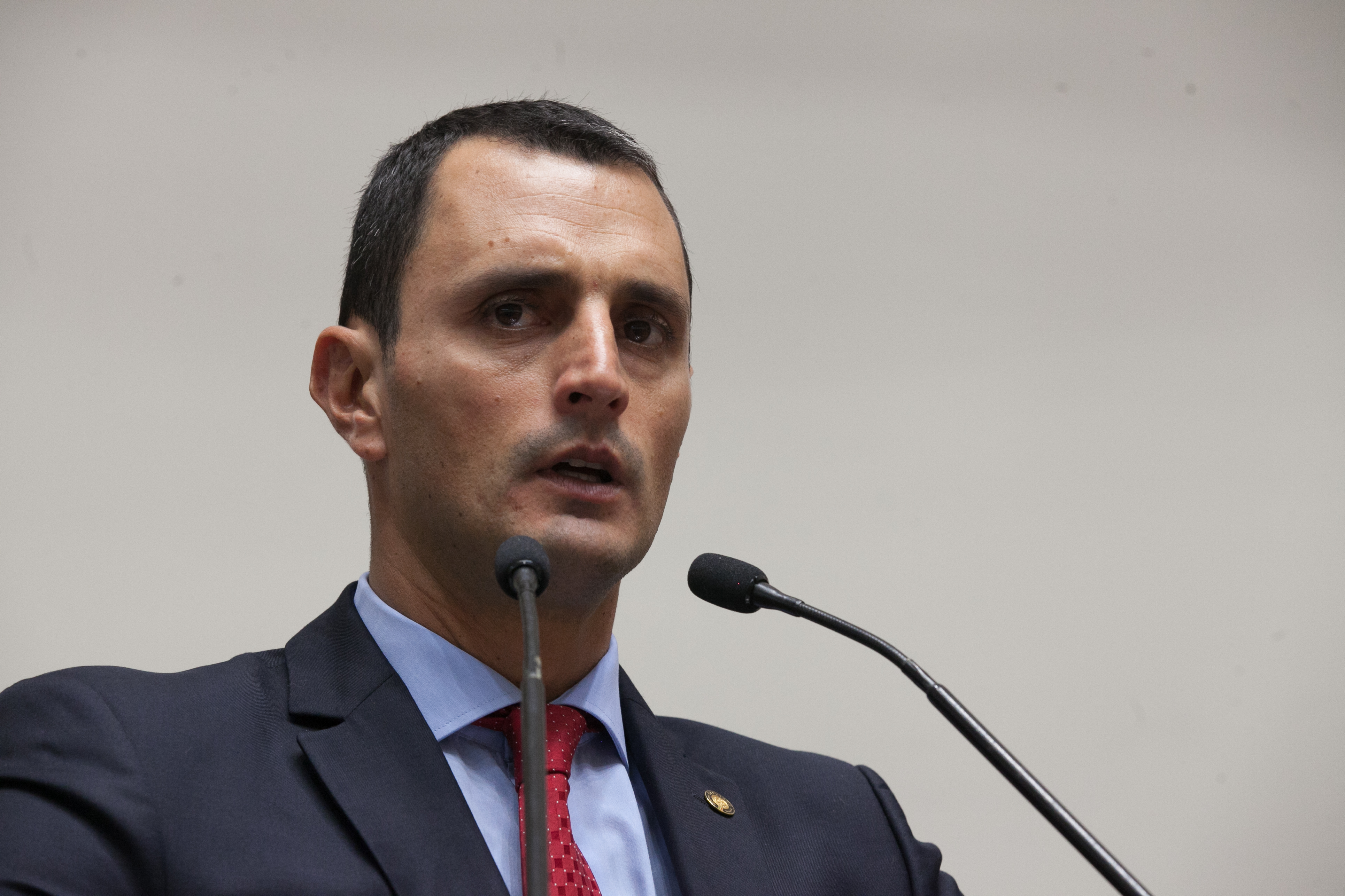 Sessão Ordinária. Deputado João Amin (PP)