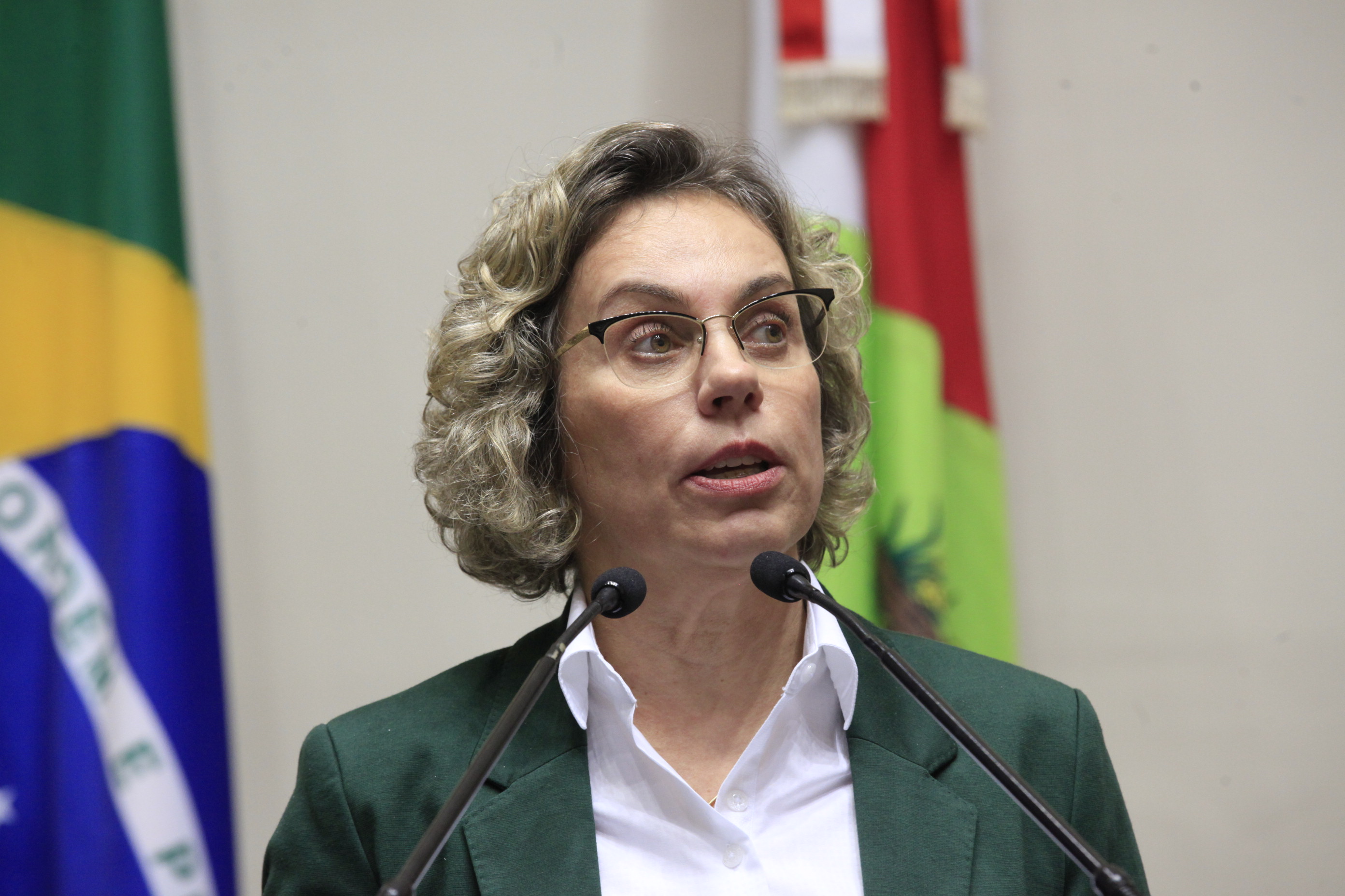 Sessão Ordinária. Deputada Ana Paula Lima (PT)