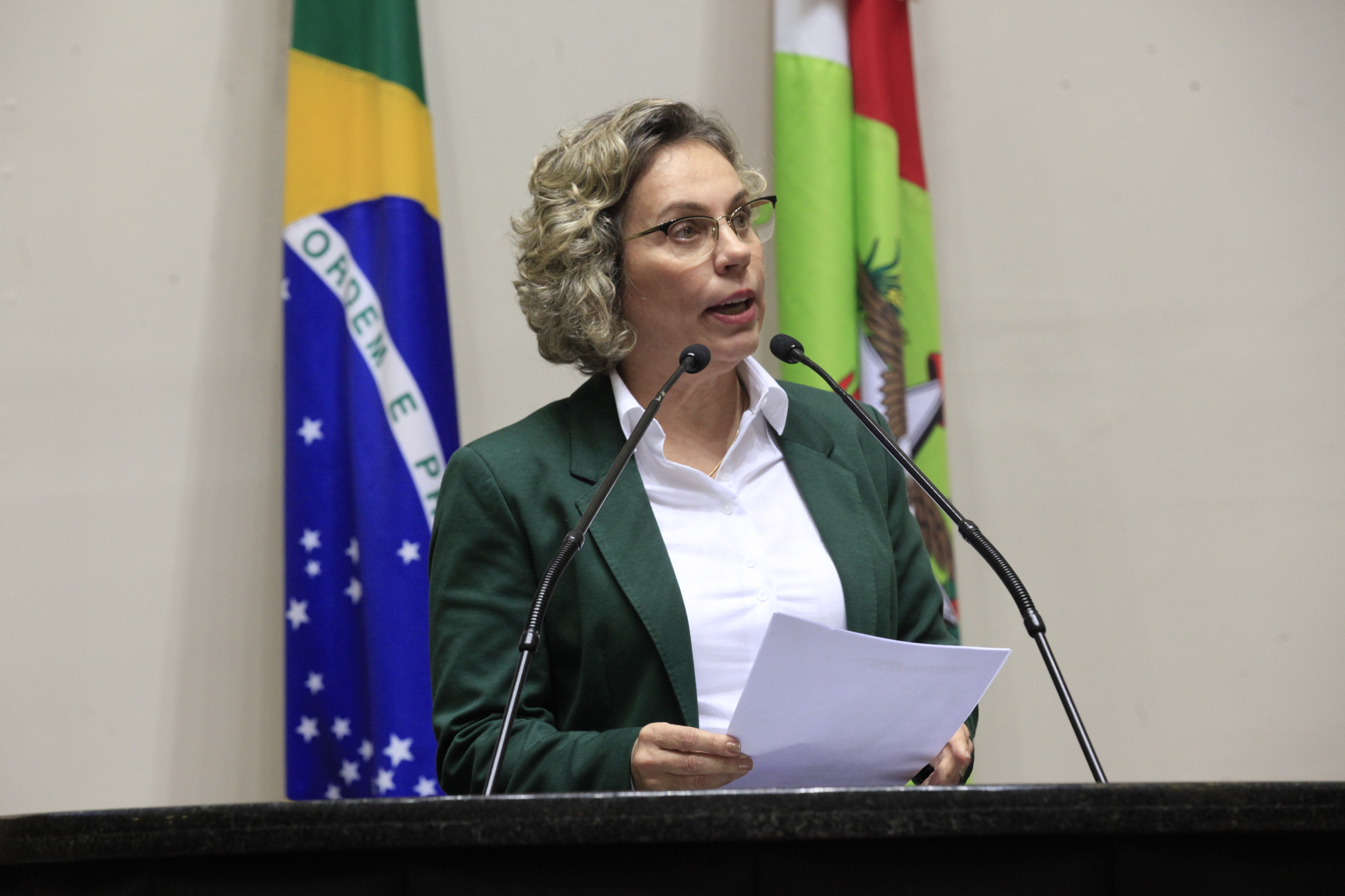 Sessão Ordinária. Deputada Ana Paula Lima (PT)
