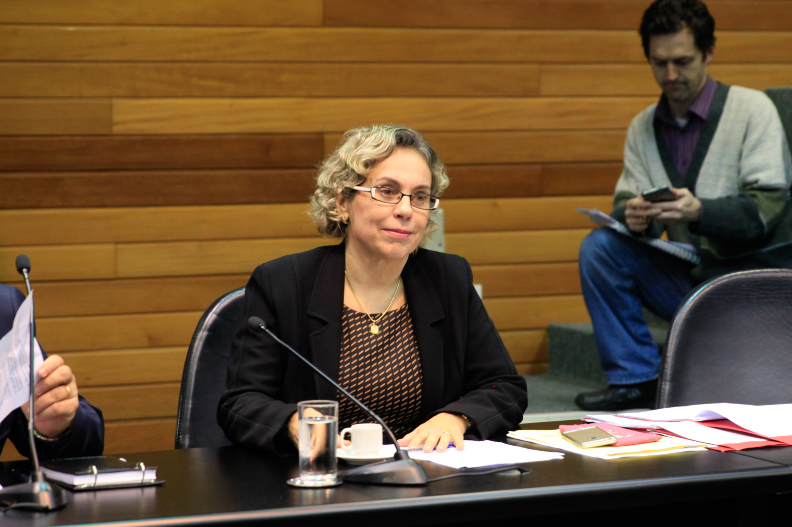 Comissão de Segurança Pública.  Deputada Ana Paula Lima (PT).