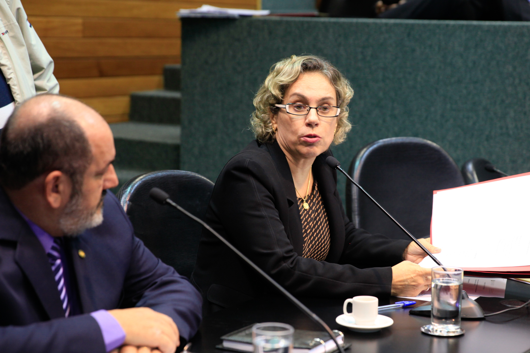 Comissão de Segurança Pública. Deputada Ana Paula Lima (PT).
