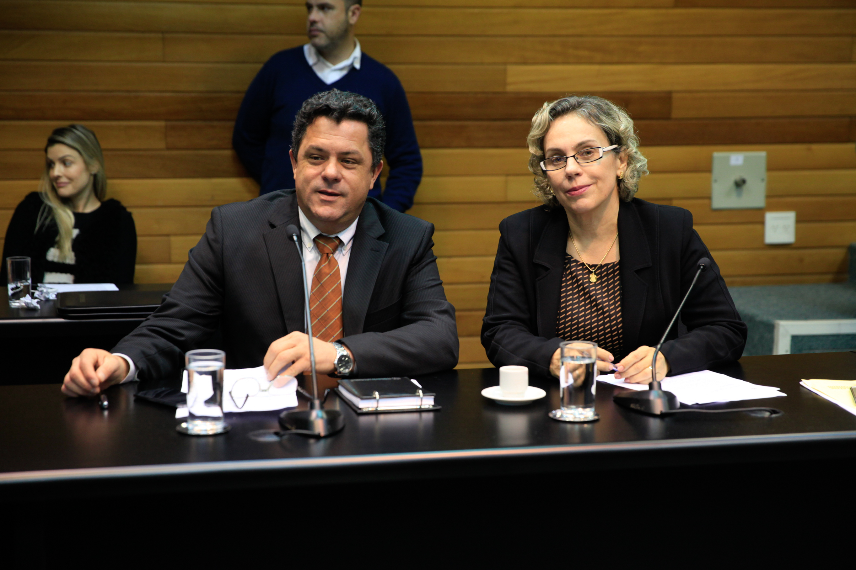 Comissão de Segurança Pública.