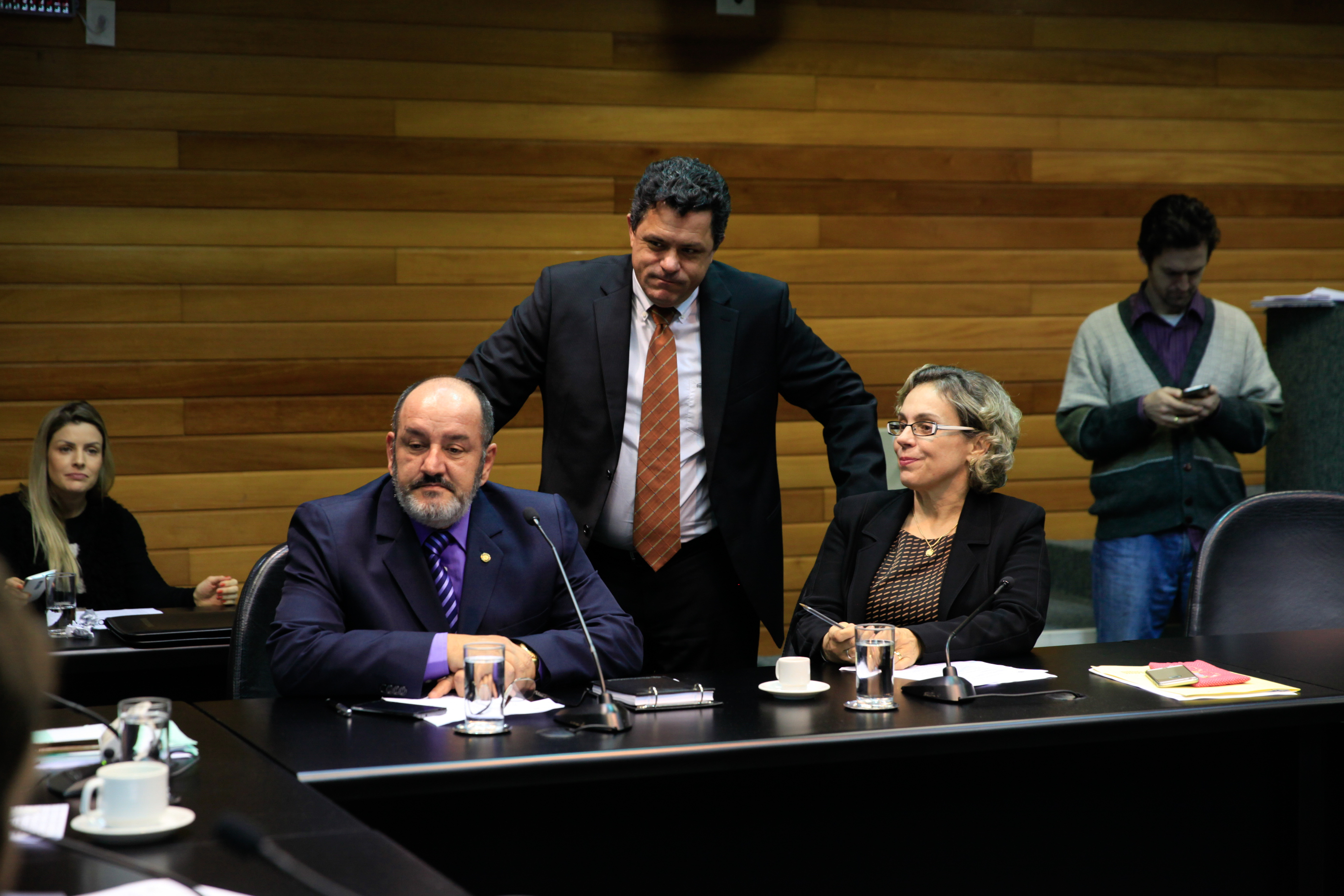 Comissão de Segurança Pública.