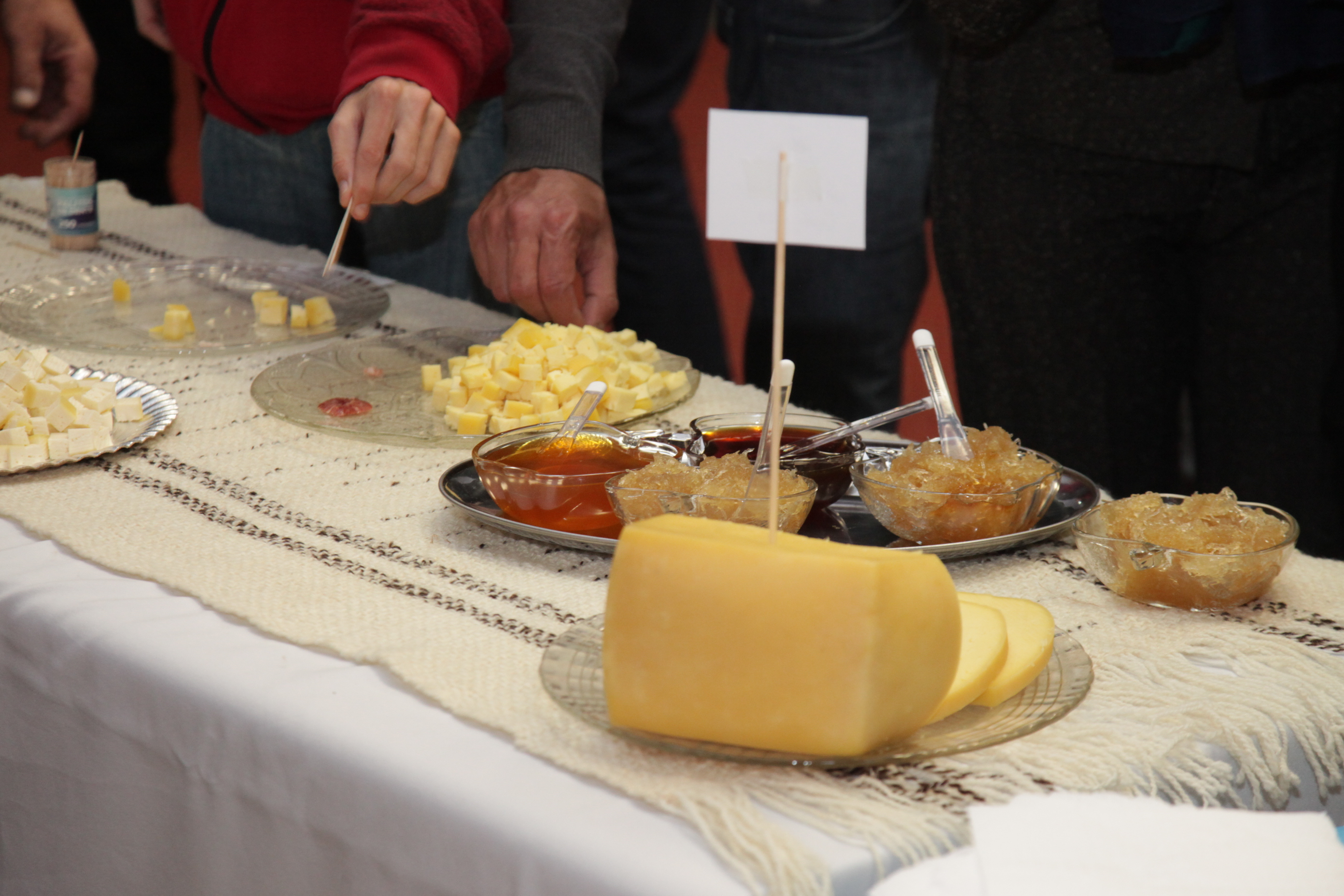 Degustação de Queijos Serranos.