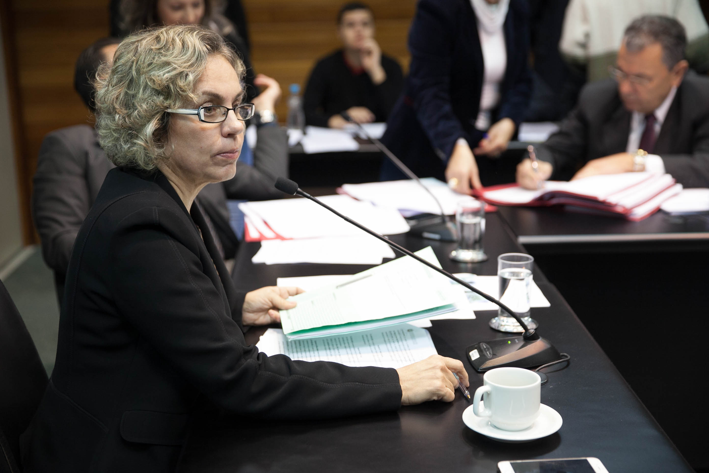 Deputada Ana Paula Lima (PT) em Comissão de Saúde