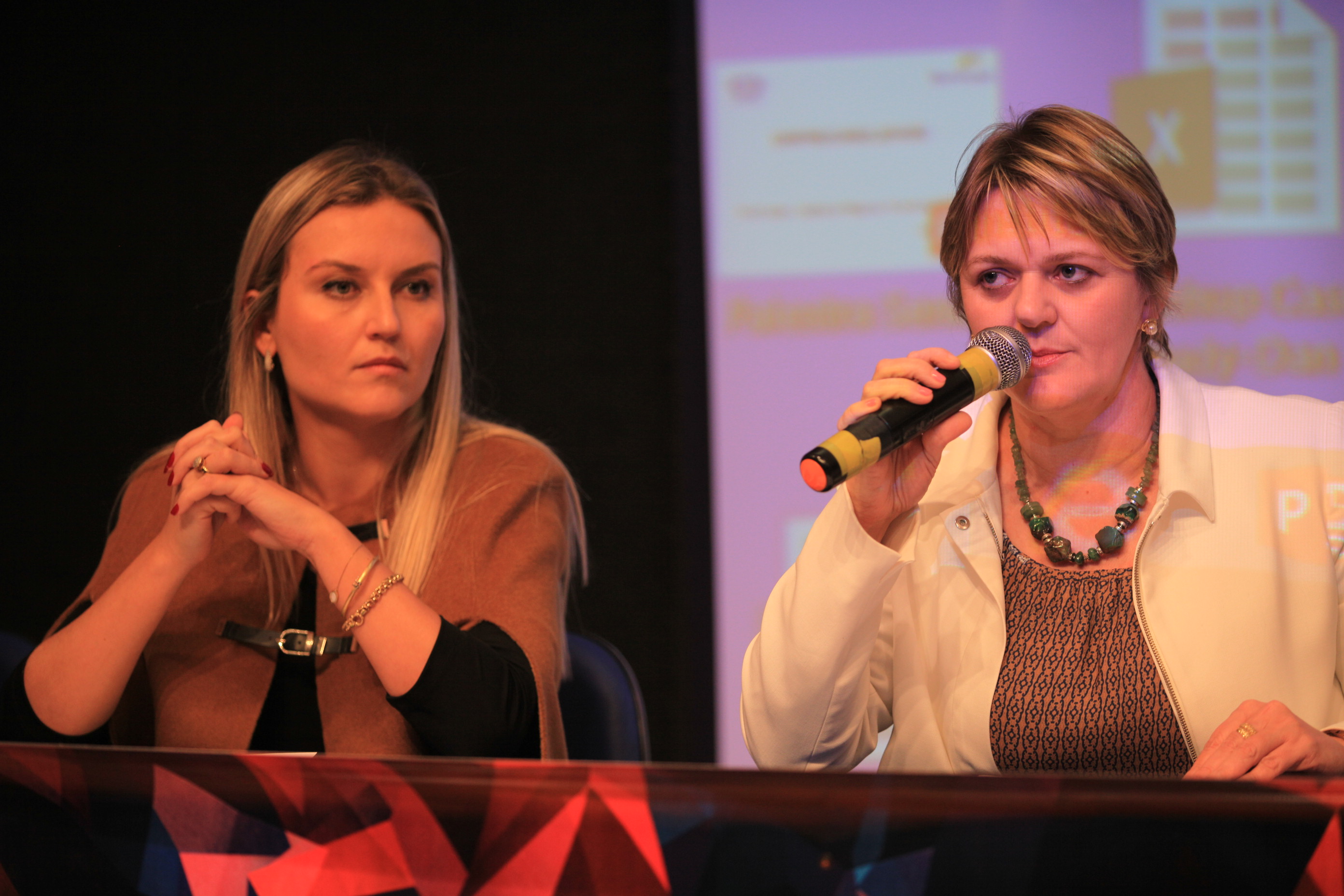 Audiência Pública - Sistema Único de Assistência Social - Deputada Luciane Carminatti (PT)
