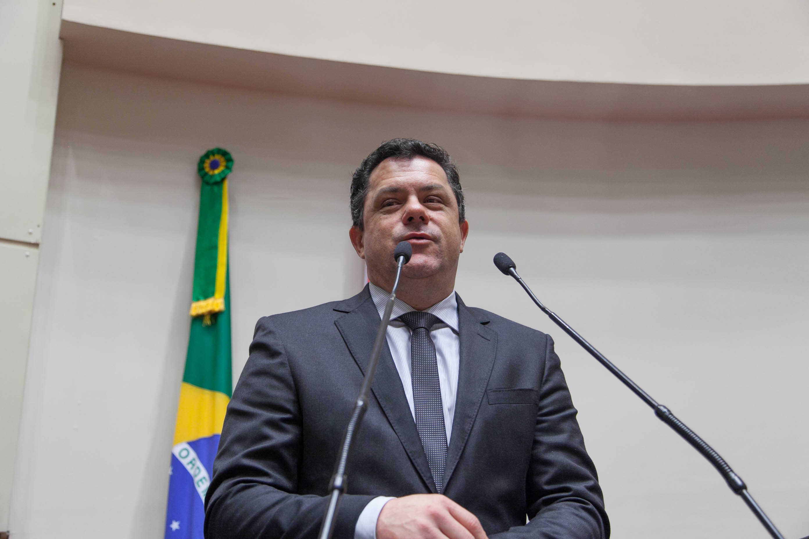 Deputado Deputado Ivan Naatz (PDT)  em Sessão Ordinária