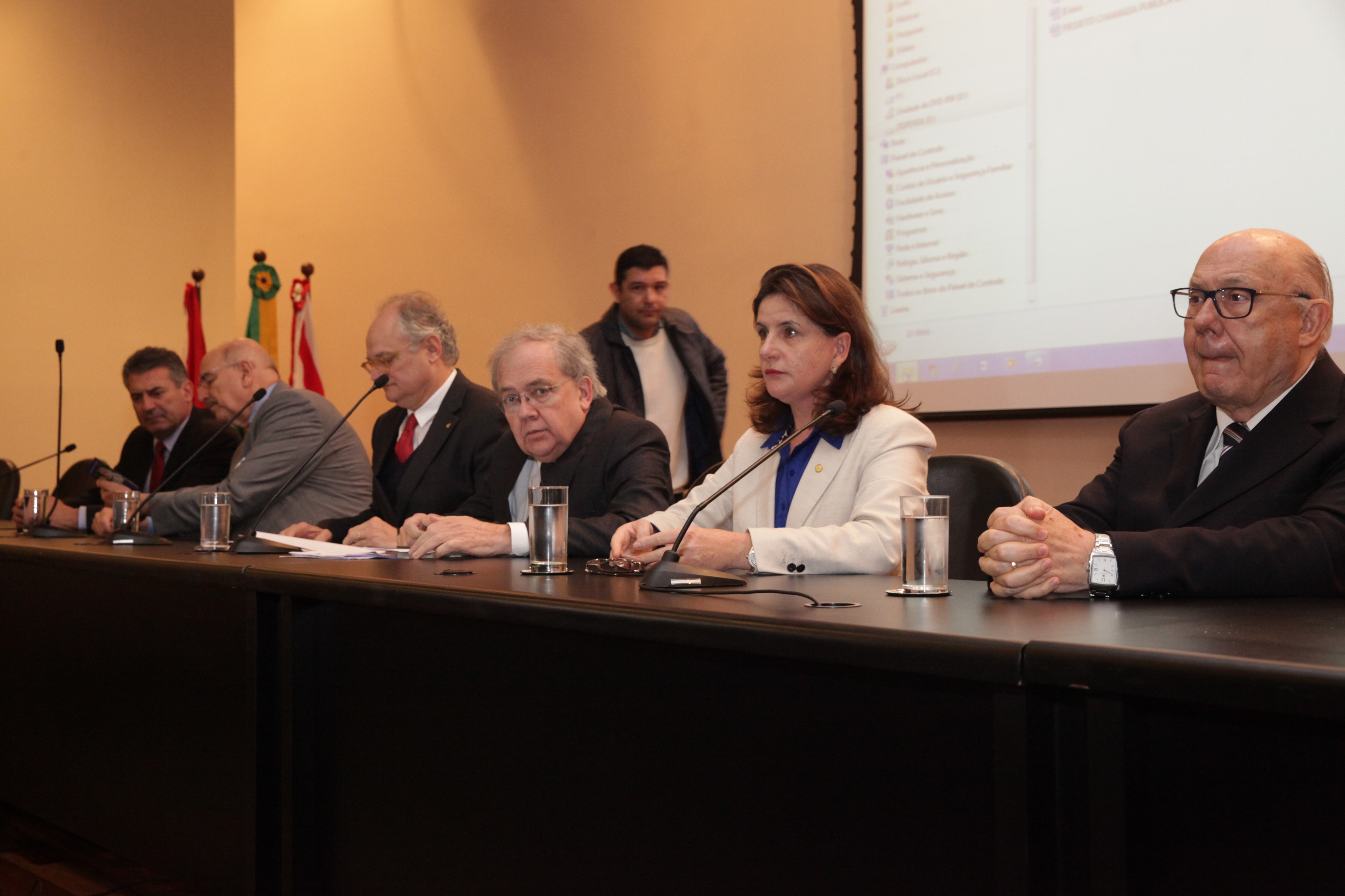 Audiência Pública - Marco Legal da Primeira Infância.