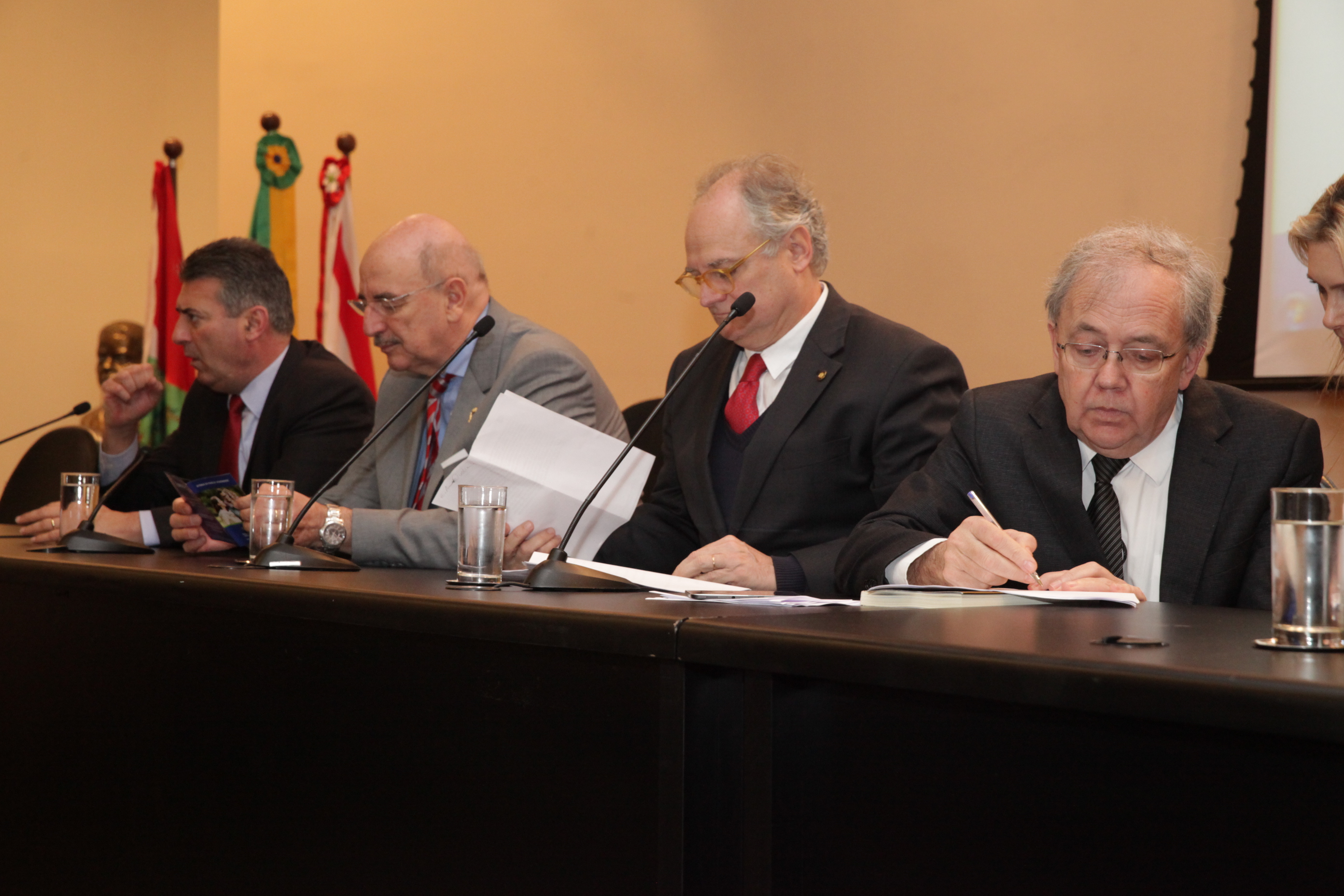 Audiência Pública - Marco Legal da Primeira Infância.