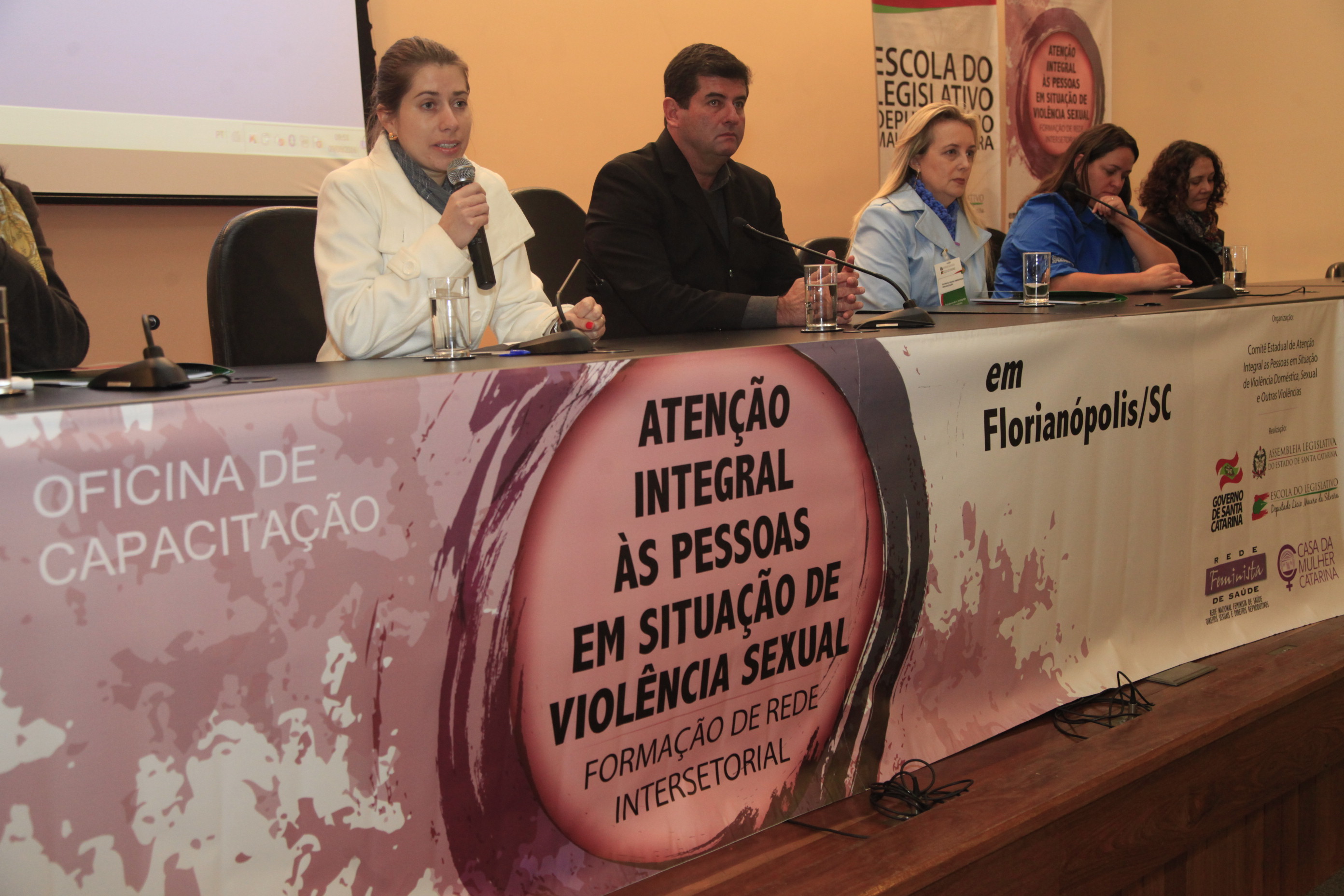 Oficina de Capacitação na Atenção a Pessoas em Situação de Violência Sexual.
