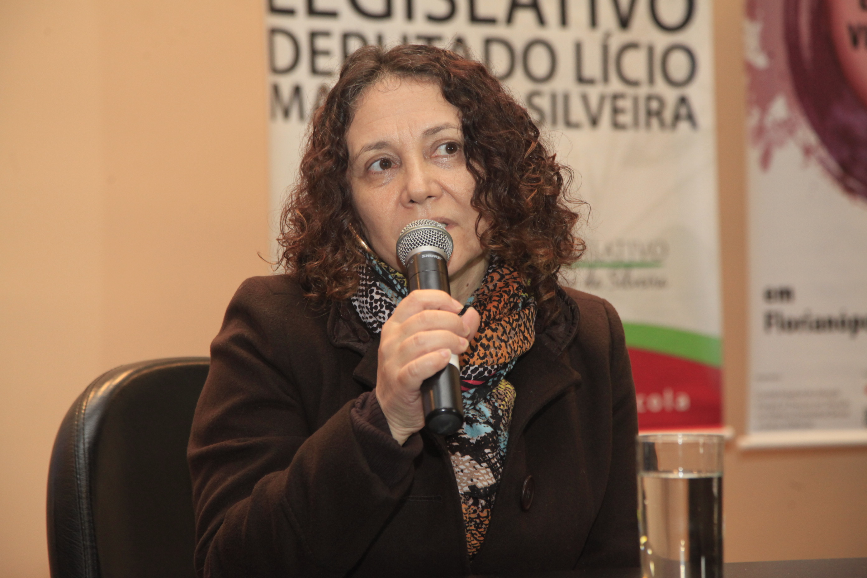 Sheila Sabag - presidente do Conselho Estadual dos Direitos da Mulher. Oficina de Capacitação na Atenção a Pessoas em Situação de Violência Sexual.