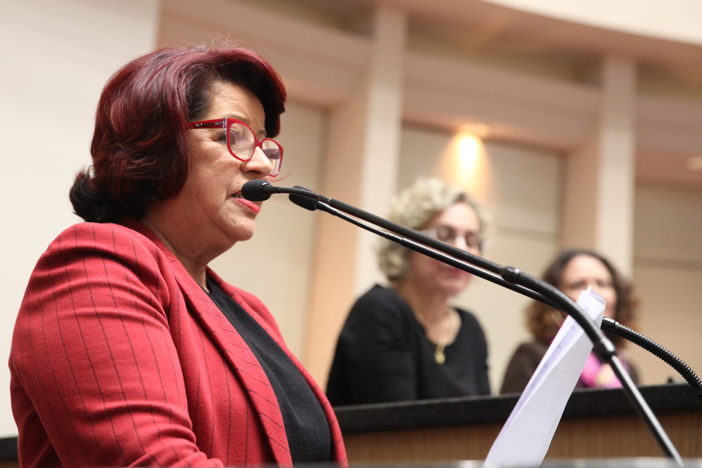 Ato em Comemoração aos 10 anos da Lei Maria da Penha. Célia Fernandes.
