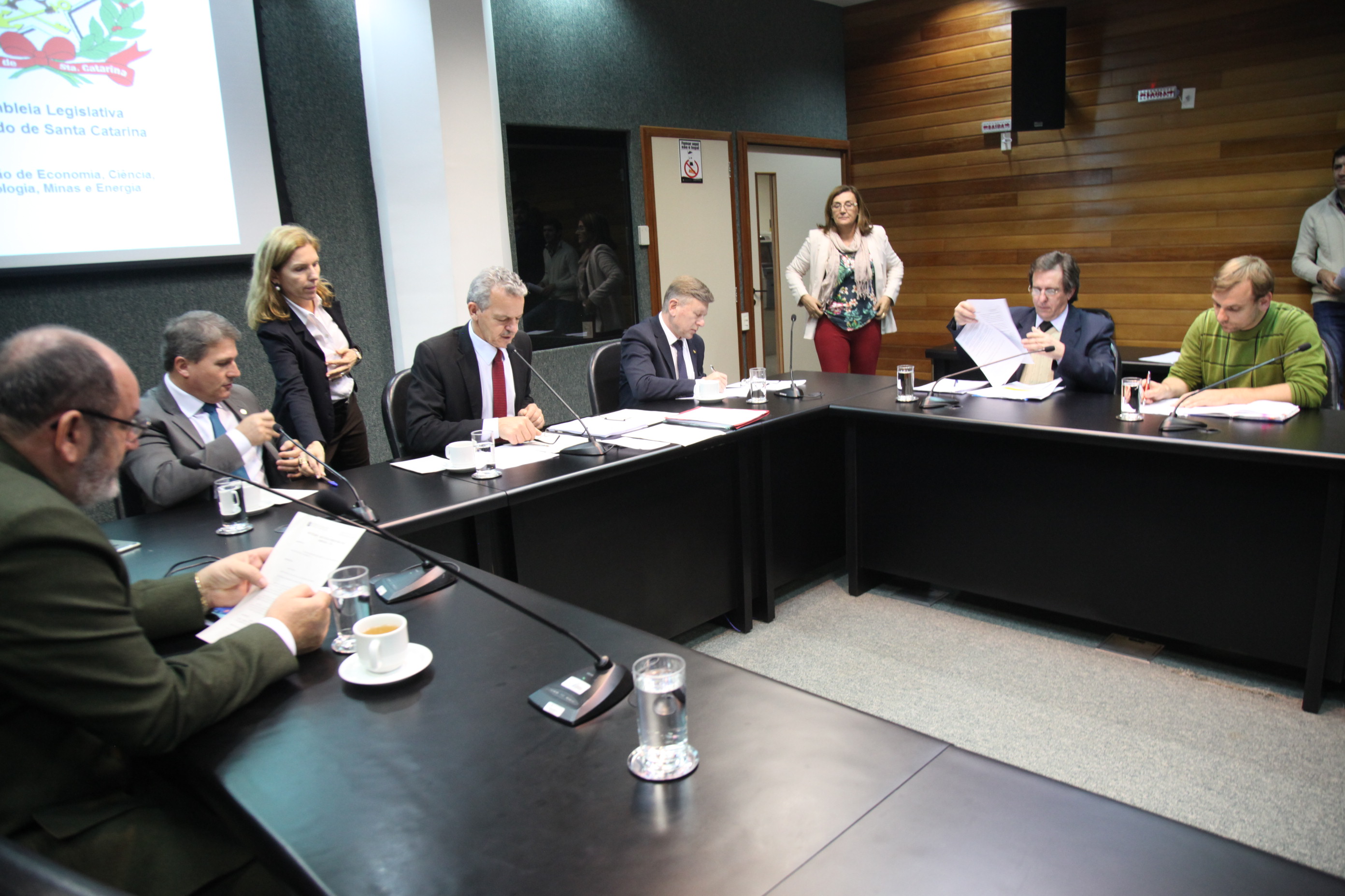 Reunião da Comissão de Economia, Ciência, Tecnologia, Minas e Energia.