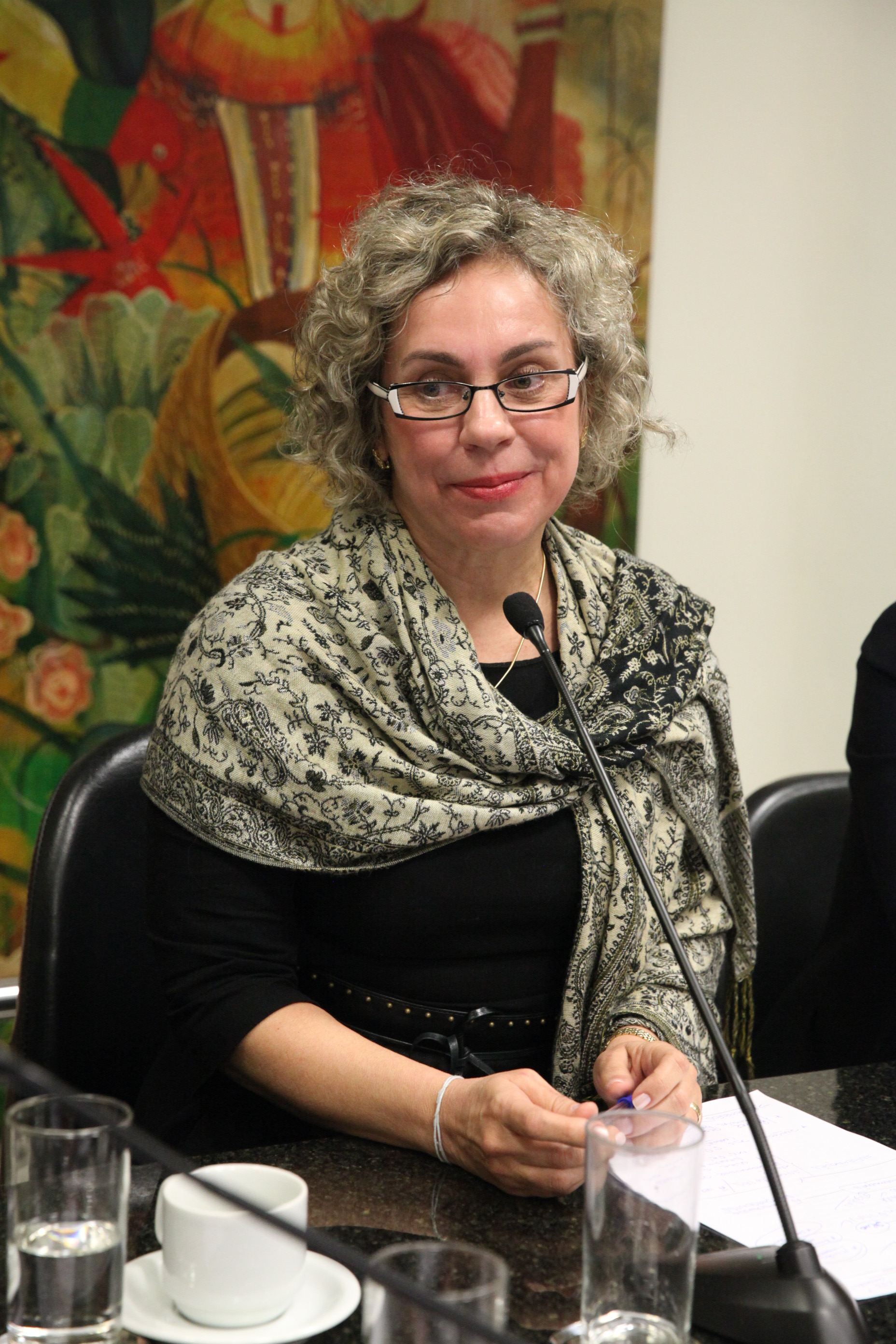 Deputada Ana Paula Lima (PT). Comissão de Saúde.