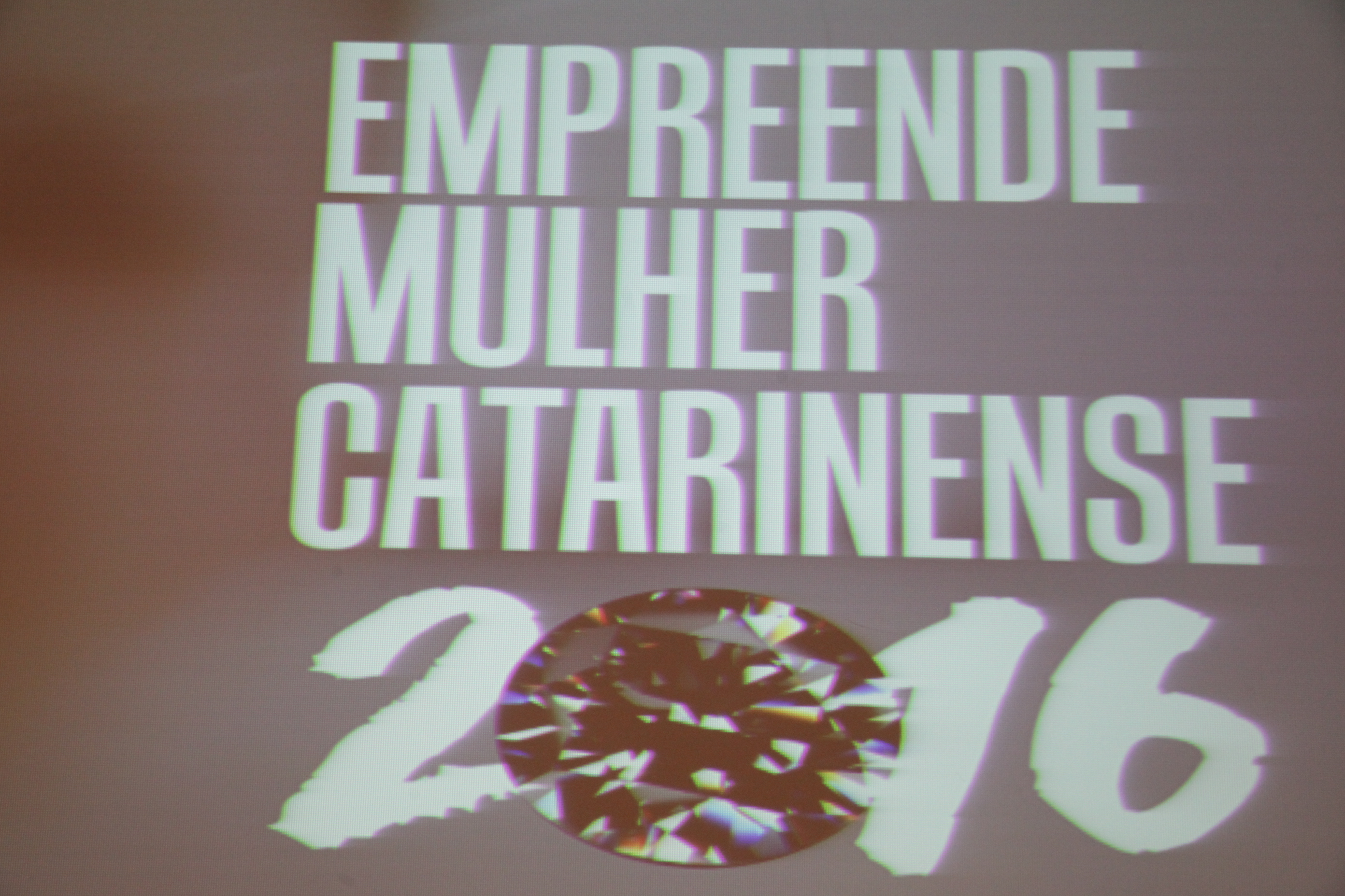 Dia Estadual da Mulher Empresária