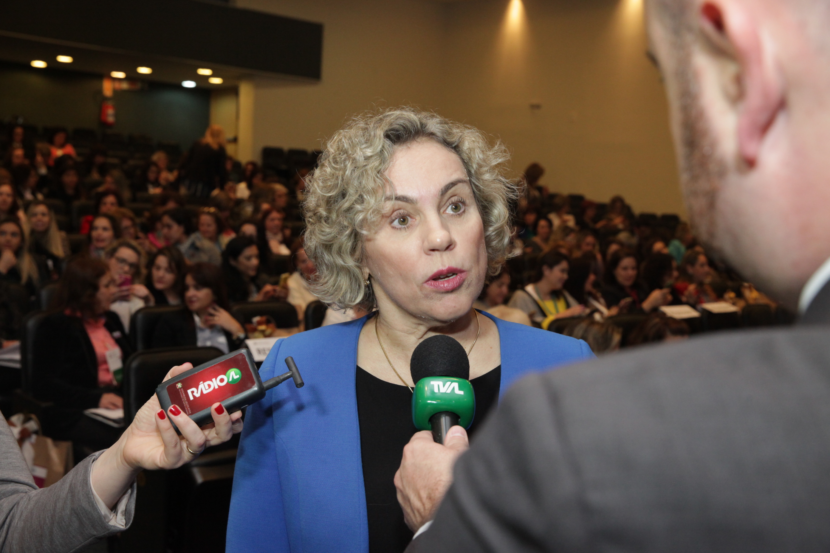 Dia Estadual da Mulher Empresária. Deputada Ana Paula Lima (PT).