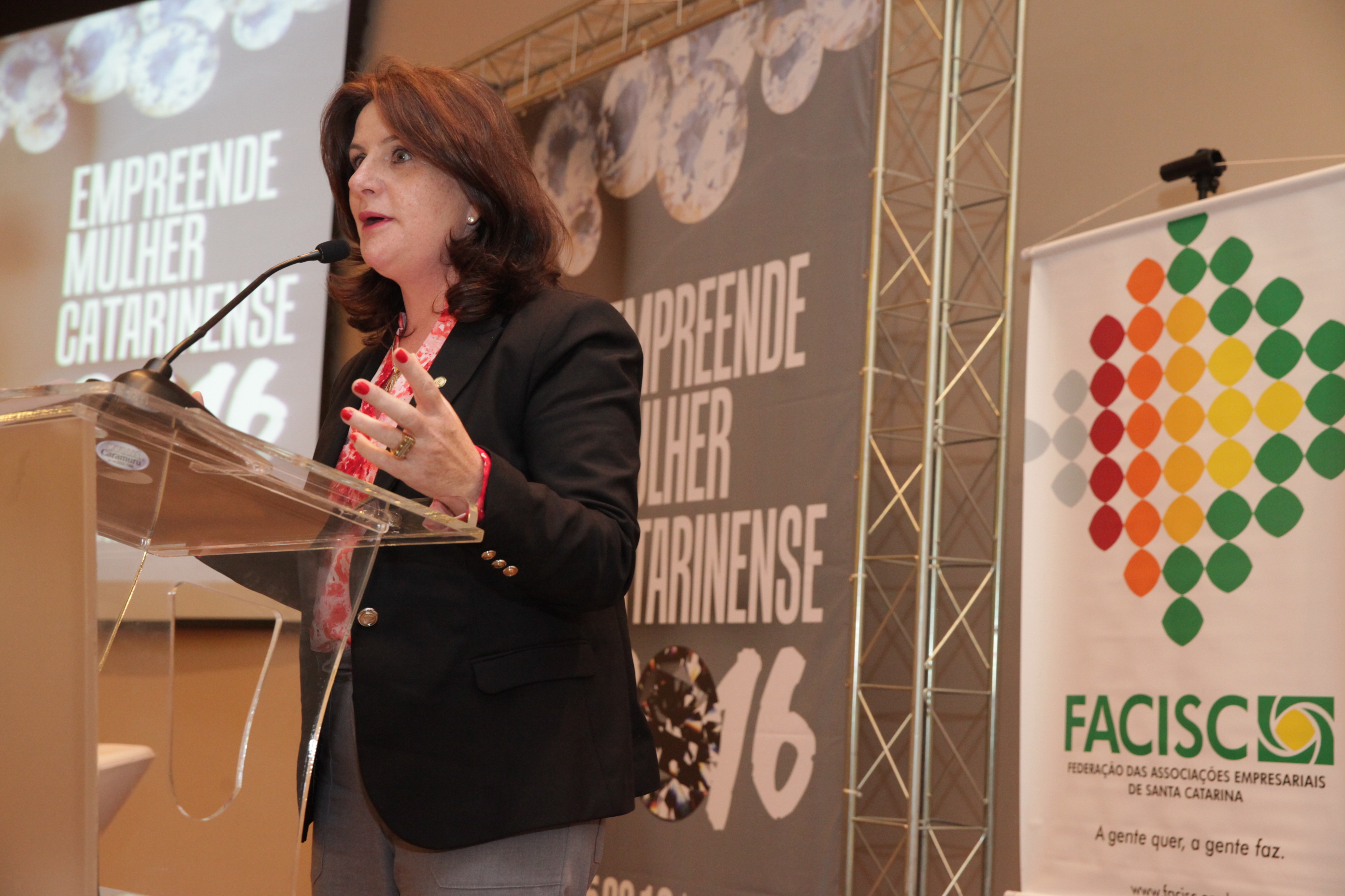Dia Estadual da Mulher Empresária. Deputada Federal Carmen Zanotto (PPS).