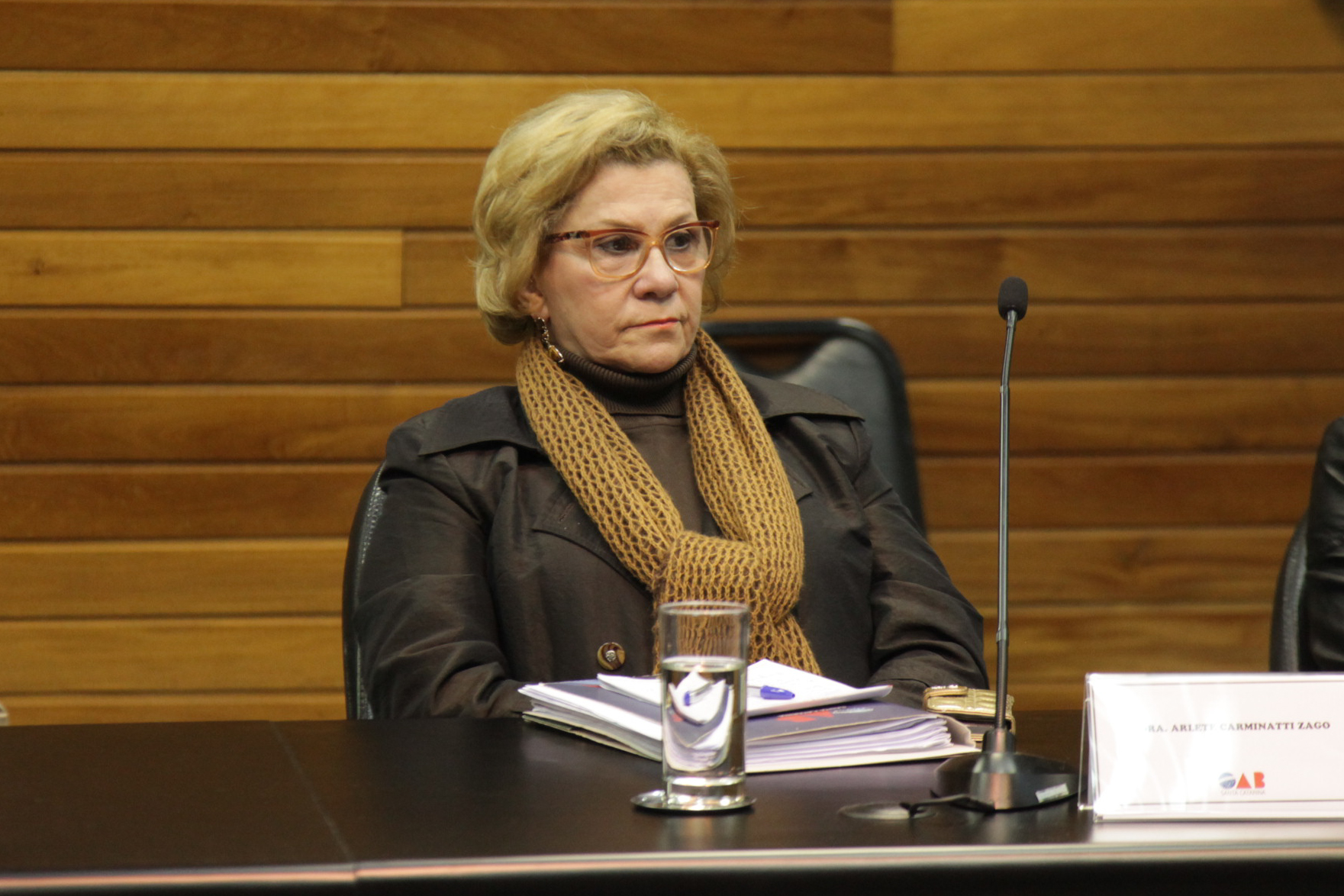 Comissão de Responsabilidade Social. Dra. Arlete Carminatti (OAB).