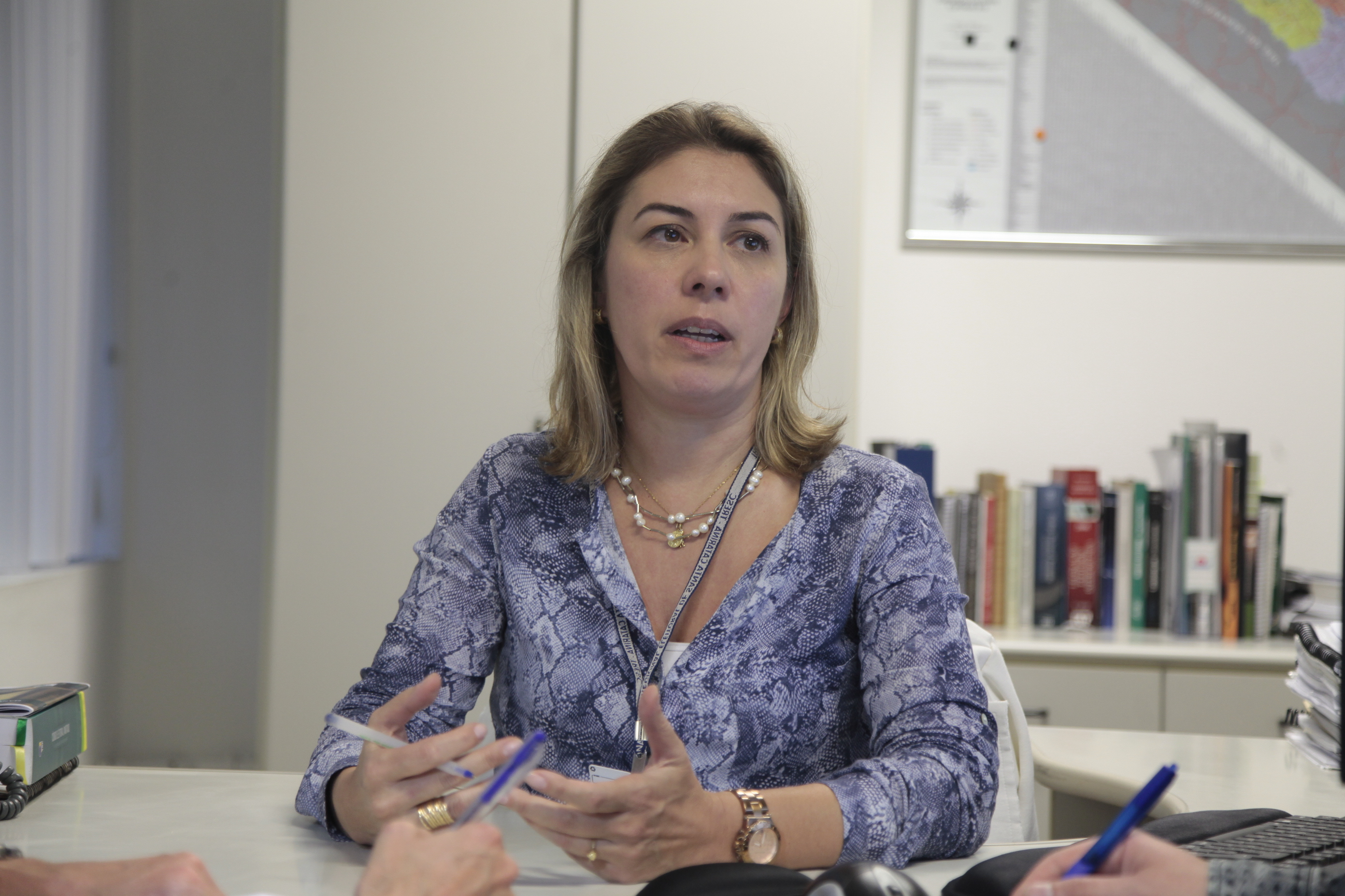 Regras Eleições 2016. Renata Beatriz de Fávere, secretária da Corregedoria Eleitoral.