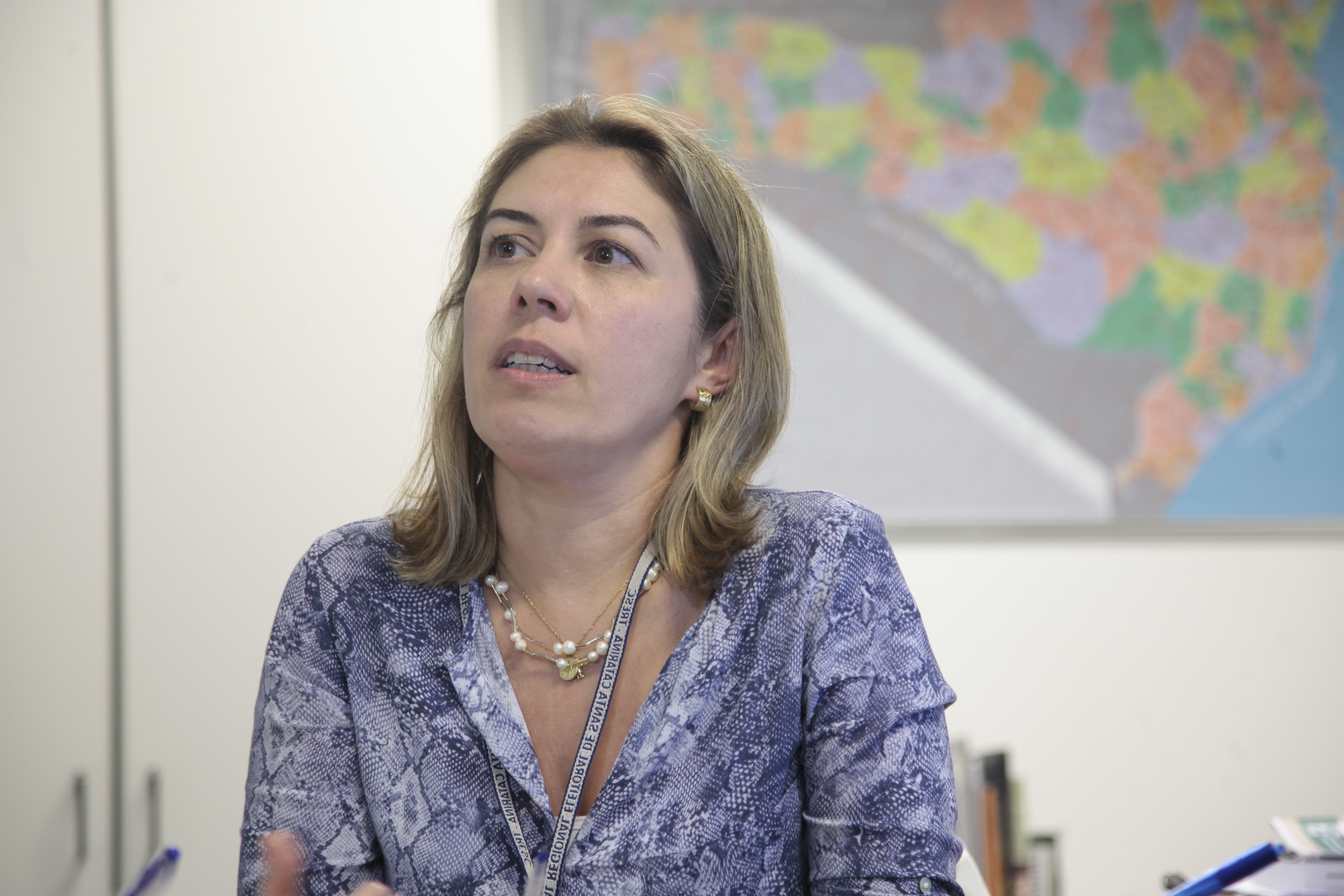 Regras Eleições 2016. Renata Beatriz de Fávere, secretária da Corregedoria Eleitoral.