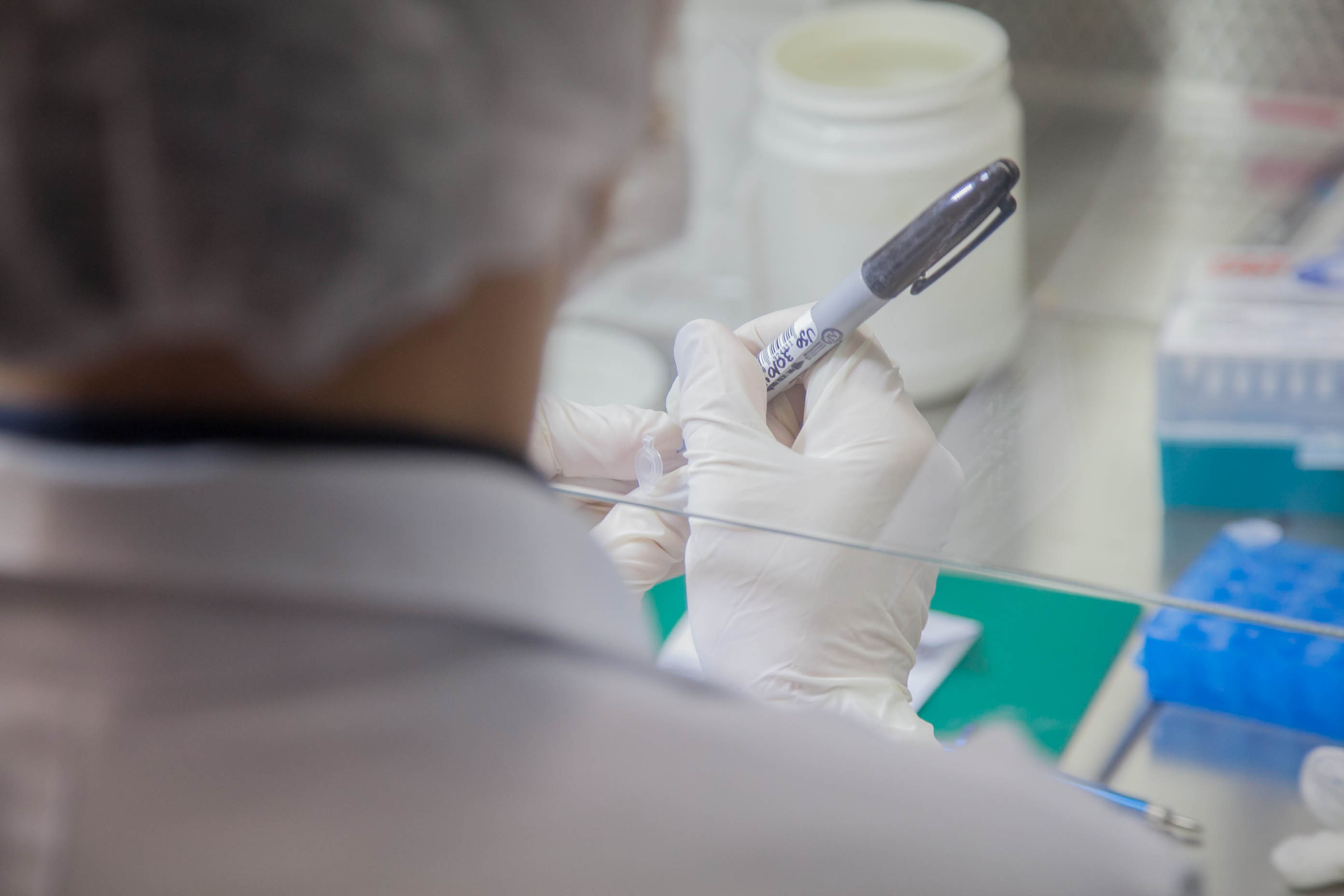 IGP Coleta DNA de Familiares de Desaparecidos.